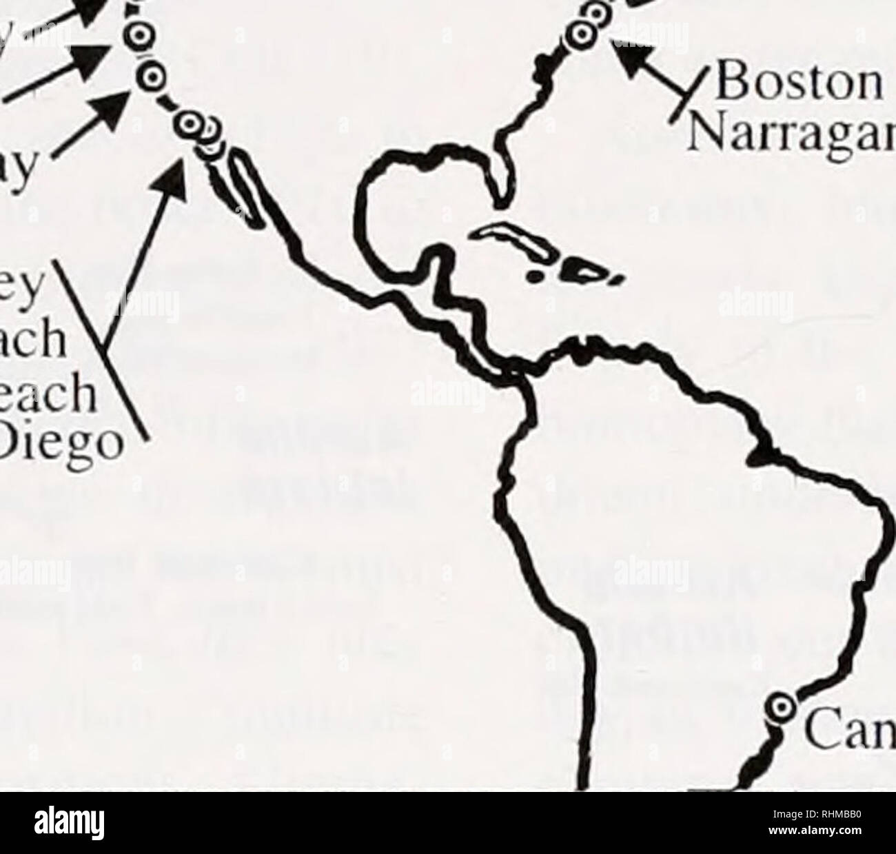 . The Biological bulletin. Biology; Zoology; Biology; Marine Biology. okyo Bay ©Palau , ©Helen Reef Newport BayJ© Tomales Bay Monterey Bay ^yBoston Harbor Narragansett Bay Marina del Rey Long Beach Newport BeaclA ^Qn F^iAor* » V San. Cananeia. Please note that these images are extracted from scanned page images that may have been digitally enhanced for readability - coloration and appearance of these illustrations may not perfectly resemble the original work.. Marine Biological Laboratory (Woods Hole, Mass. ); Marine Biological Laboratory (Woods Hole, Mass. ). Annual report 1907/08-1952; Lilli Stock Photo