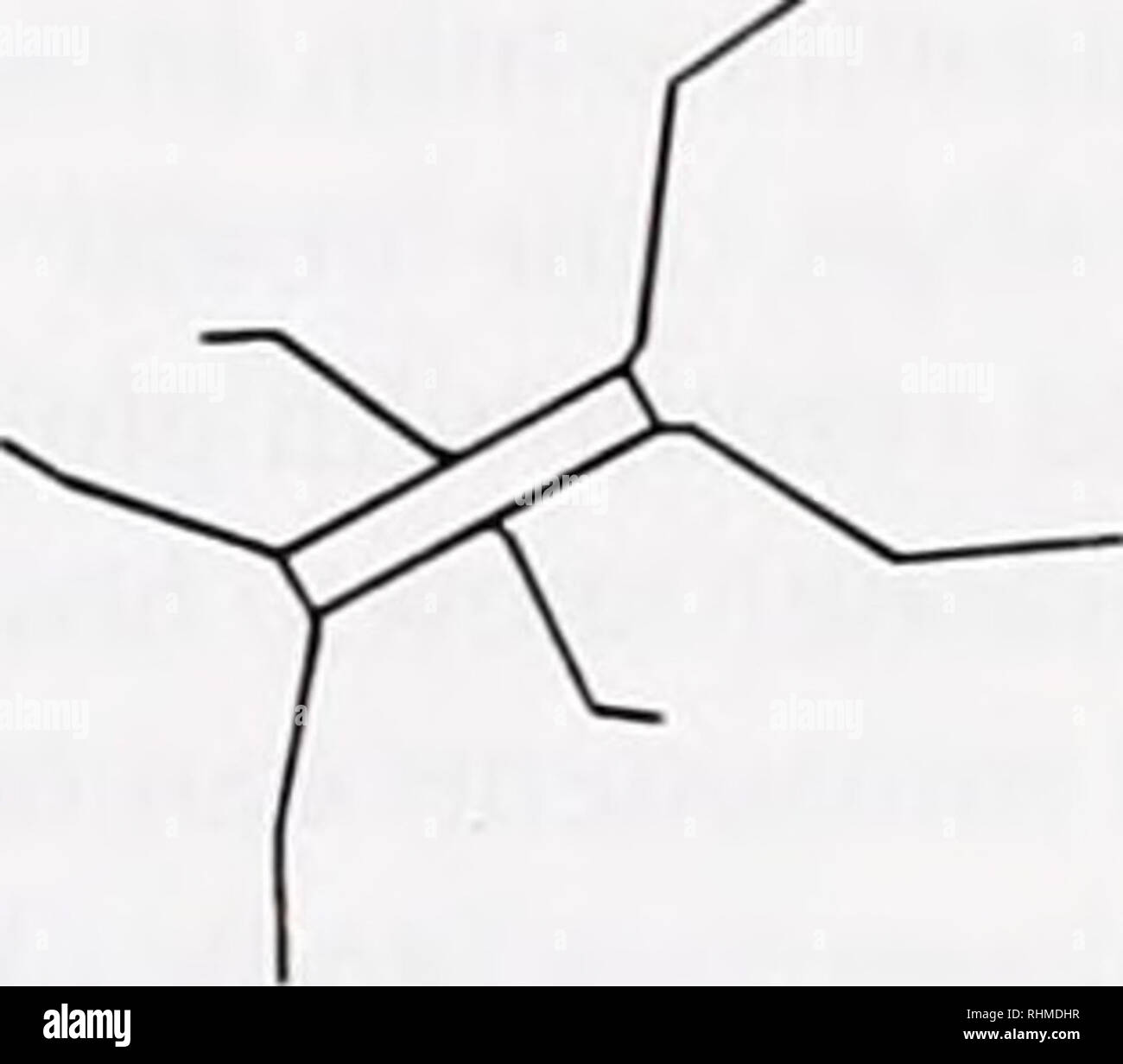 . The Biological bulletin. Biology; Zoology; Biology; Marine Biology