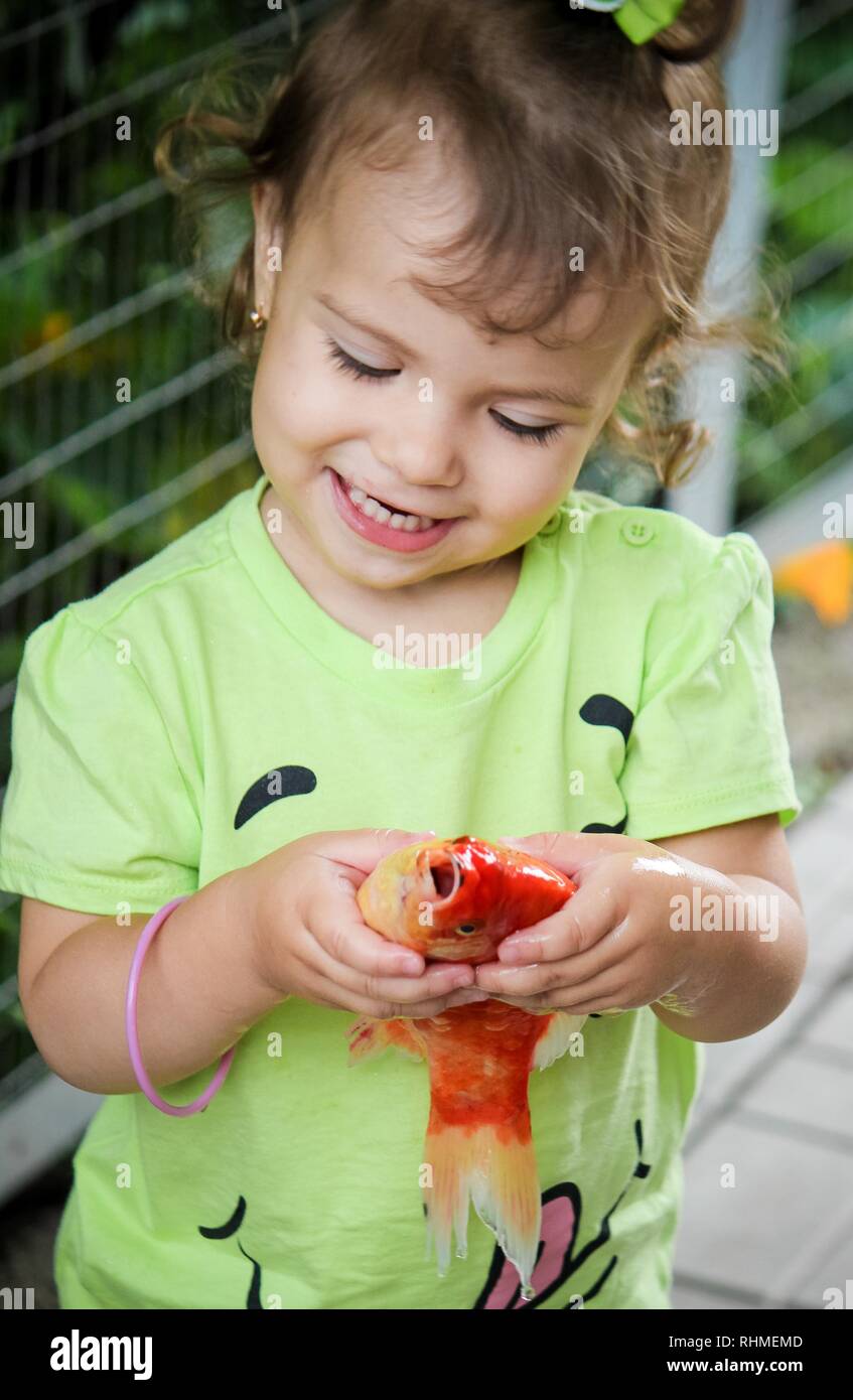 Boy Looking At Goldfish High Resolution Stock Photography And Images Alamy