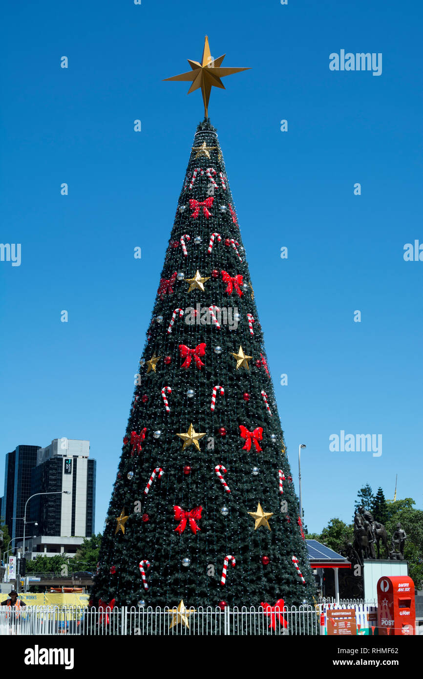 King george square on sale christmas tree