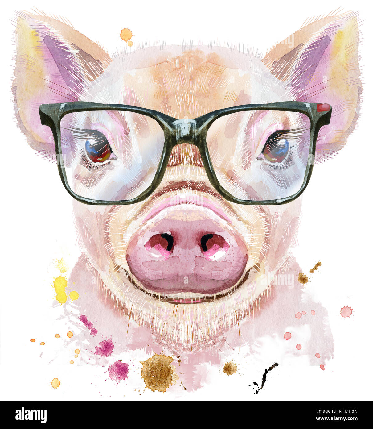 Pigs With Glasses