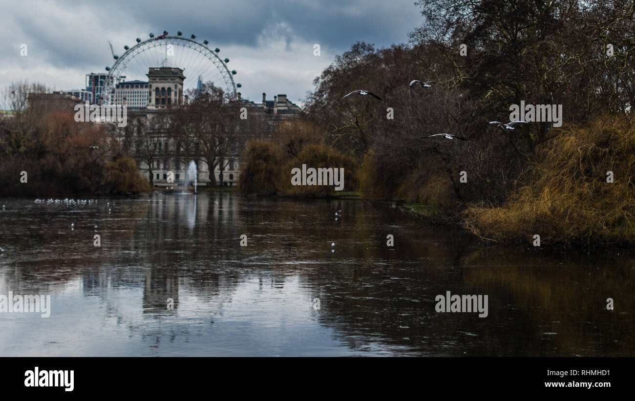 The view from St. James' Park with  the famous London Eye in the background. Stock Photo