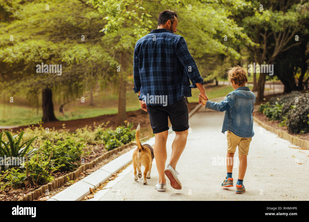 Rear view of father and son with dog walking in a park. Man holding hand on his little boy walking and talking outdoors in park. Stock Photo