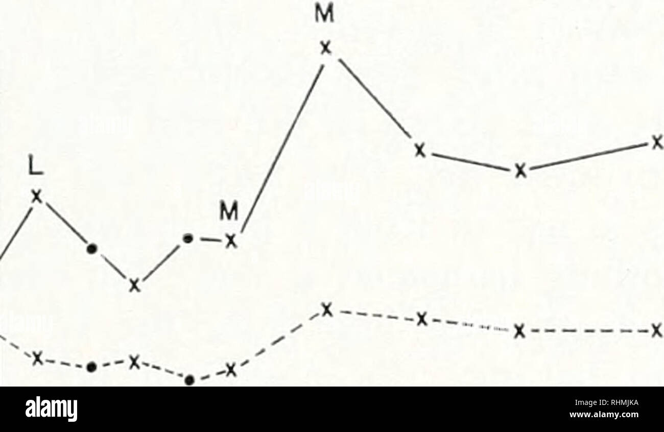 C 20h High Resolution Stock Photography And Images Alamy