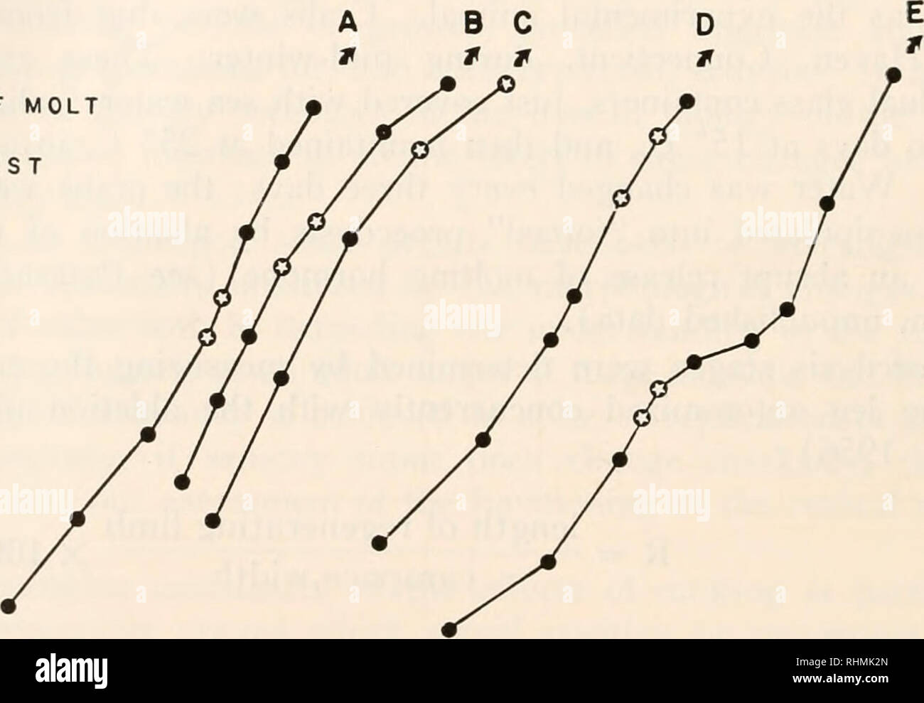 . The Biological bulletin. Biology; Zoology; Biology; Marine Biology. 662 RICHARD B. YULES C. Electrophysiology All recordings were made from the PDO nerve fibers in the meropodite (see Figure 2). The propodite and carpodite were immobilized on the side of a Petri dish in a vertical position with modeling clay (F), the dactylopodite remain- ing above the clay and thereby moveable, and the meropodite remaining below the clay. The exoskeleton of the meropodite and the two apodemes and their attached muscles were removed, allowing the nerve bundle to float free in Pantin's (1934) crustacean Ringe Stock Photo