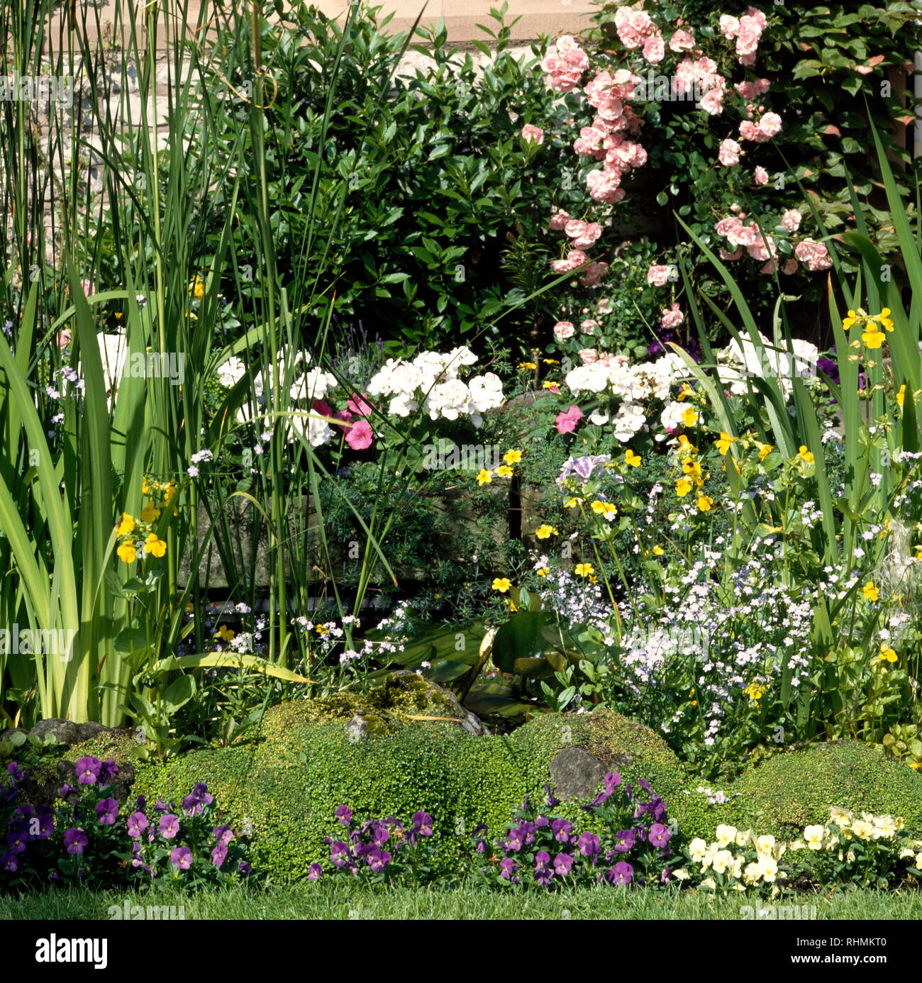 Small pond in summer garden surrounded by flowers Stock Photo