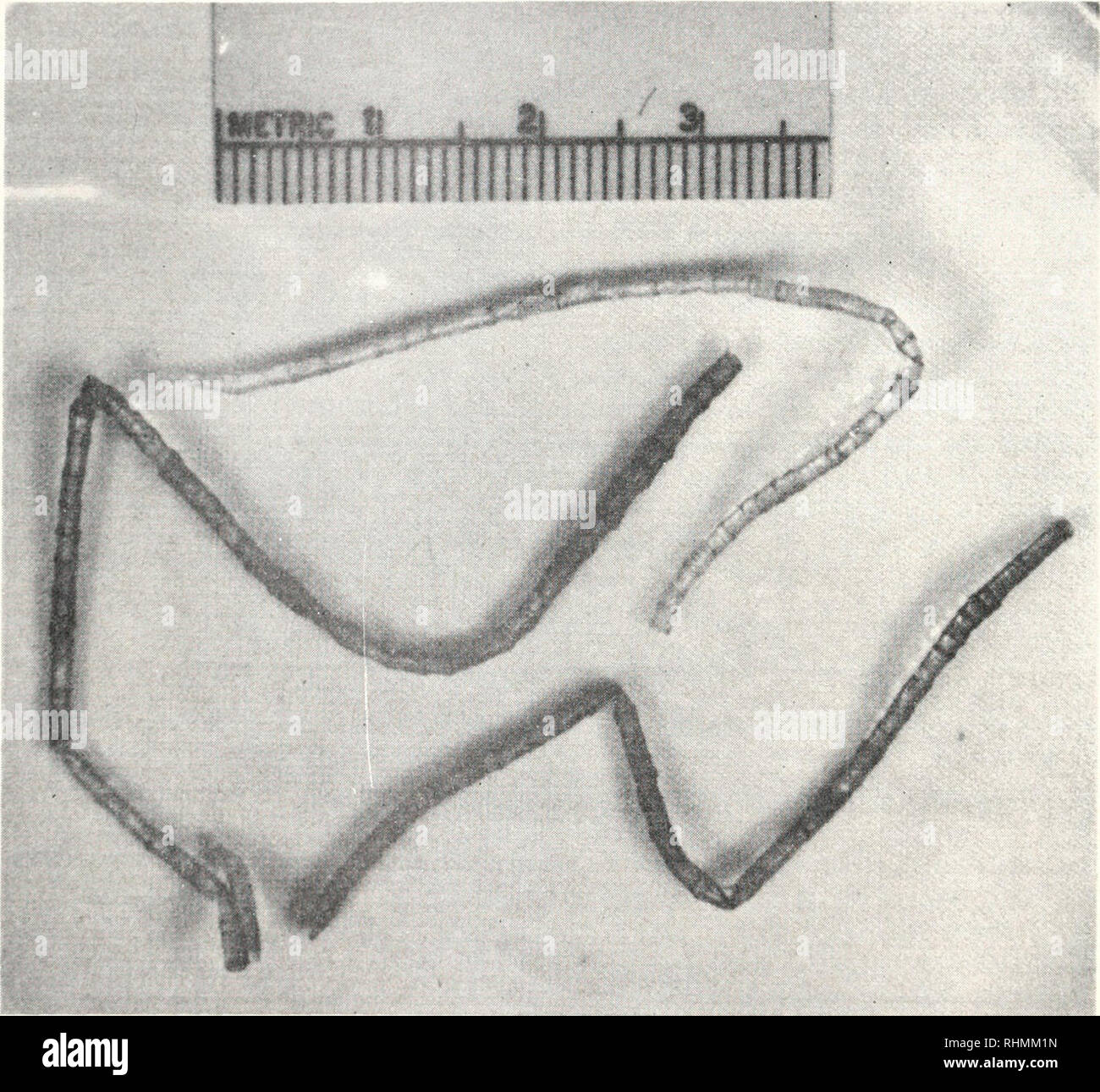 Imc Stock Photos Imc Stock Images Page 2 Alamy