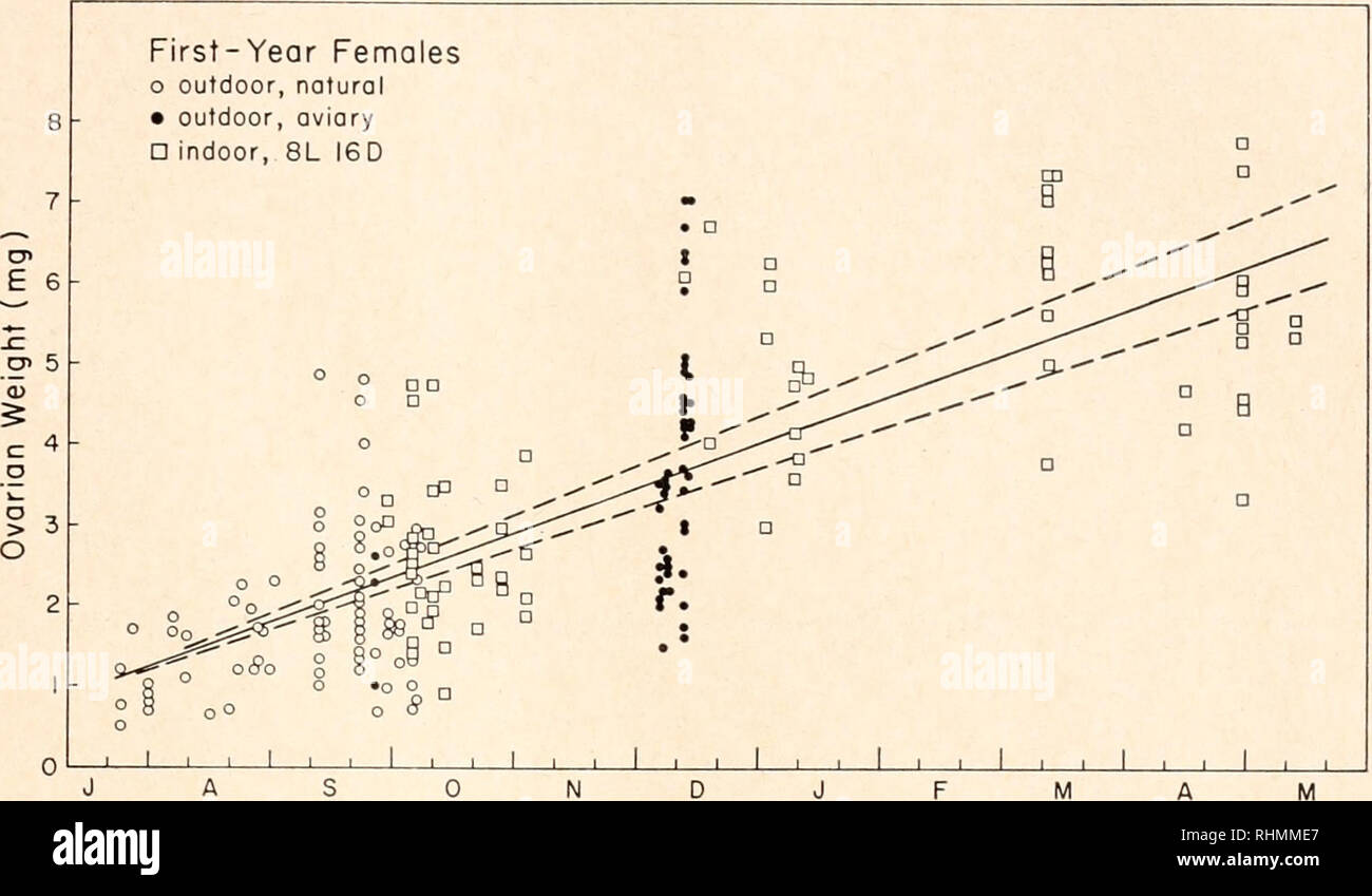 . The Biological bulletin. Biology; Zoology; Biology; Marine Biology. OVARIAN GROWTH IN ZONOTRICHIA 73 First-Year Females o outdoor, natural • outdoor, aviary D indoor, 8L I6D. D J Months M FIGURE 2. Non-photoperiodic growth of the ovary of the first-year white-crowned sparrow (Zonotrichia leucophrys ganibclii'). Ovarian weight is plotted as a function of time in months; during this period the birds did not receive stimulatory photoperiods. O, birds taken from the field; •, birds from outdoor aviaries under natural conditions of temperature and photoperiod: fj, birds held indoors under 8L 16D. Stock Photo