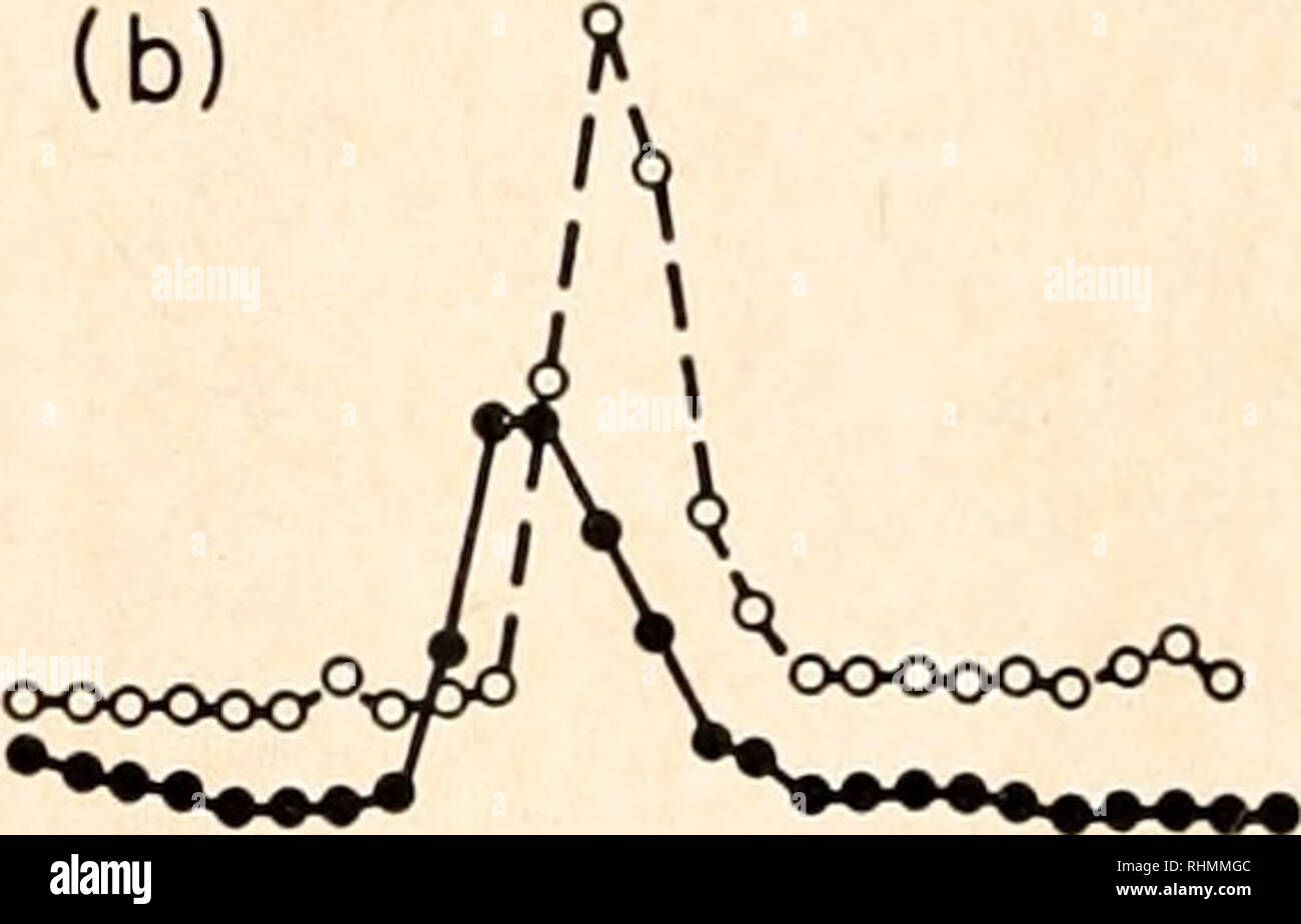 150 Ml High Resolution Stock Photography And Images Alamy