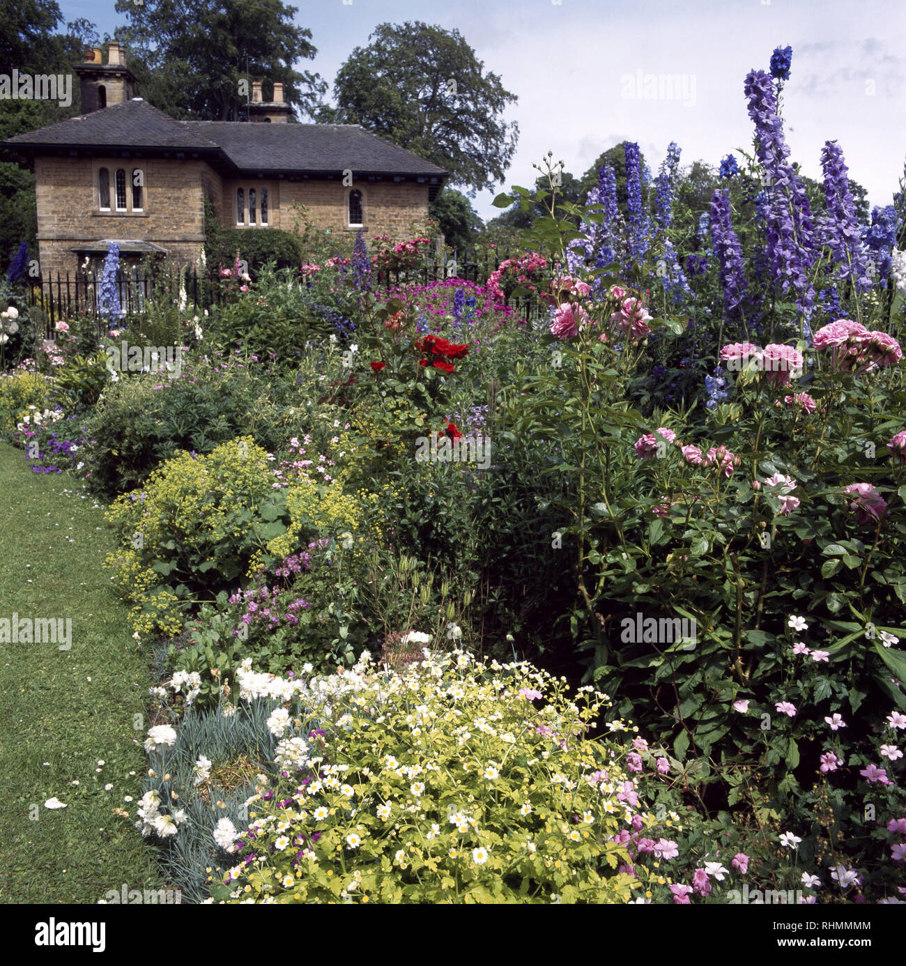 Delphiniums and roses in large summer border Stock Photo