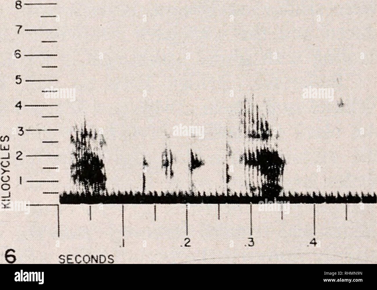 . The Biological bulletin. Biology; Zoology; Biology; Marine Biology