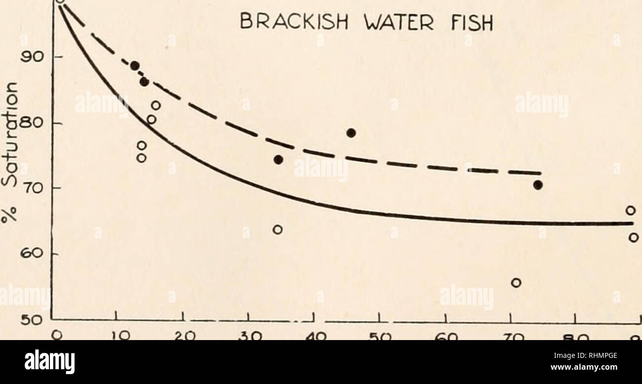 . The Biological bulletin. Biology; Zoology; Biology; Marine Biology. 434 BENDITT, MORRISON AND IRVING The effect of CO2 on the oxygen dissociation curve of brackish water fish is shown in Fig. 3. The pressure at half saturation of the hemo- globin is 40 mm. of oxygen when the CO., tension is 13-14 mm. com- pared with the average of 23 mm. O2 tension with the CO2 tension of 1 mm. or less. The effect of CO2 upon the oxygen dissociation curve of freshwater salmon was not determined, but from the maximum effect of CO2 on the oxygen capacity in fresh and saltwater fish it seems likely 100 p 9O :8O Stock Photo