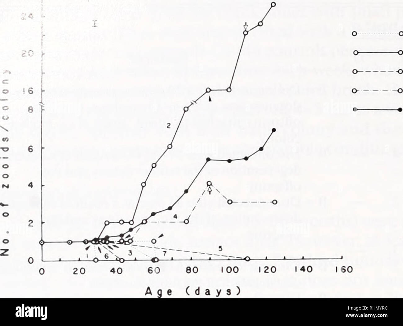 The Biological Bulletin Biology Zoology Biology Marine Biology 478 B Rinkevich And I L Weissman 40 Quot Lt 25x25 23 22 Te Lt 15 Controls N J