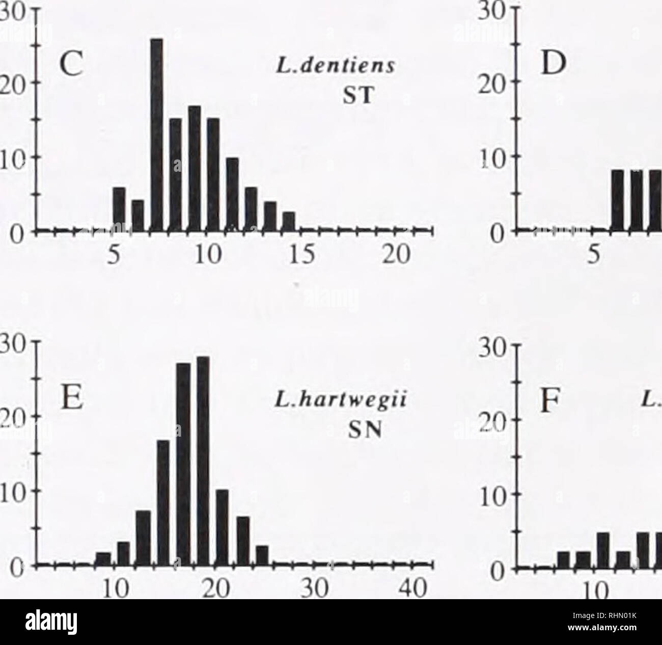 . The Biological bulletin. Biology; Zoology; Biology; Marine Biology. 292 D. J. EERNISSE &gt;&gt; 20 L.dentiens SJ iijIIIHIjju 10 15 20 L.dentiens BH ..IiIIIWji, .... 5 10 15 20. li L.dentiens BC Jin 10 L.hartwegii PP 30 40 10 Length (mm) ..l.ll.l .llllll.. 20 Figure 4. Size frequencies in Lepidochitona dentiens and L. hart- wegii as length in mm, assigned to the nearest whole mm size class (see text). Sample statistics (given as n; x Â± S.D.; xma,) are as follows: (4a) 145; 12.5 Â± 3.2; 27.3; (4b) 304; 9.4 Â± 3.3; 22.0; (4c) 55; 8.7 Â±2.1; 14.0; (4d)23; 12.2 Â±4.0; 18.5; (4e) 105; 16.1 Â± 3.0 Stock Photo
