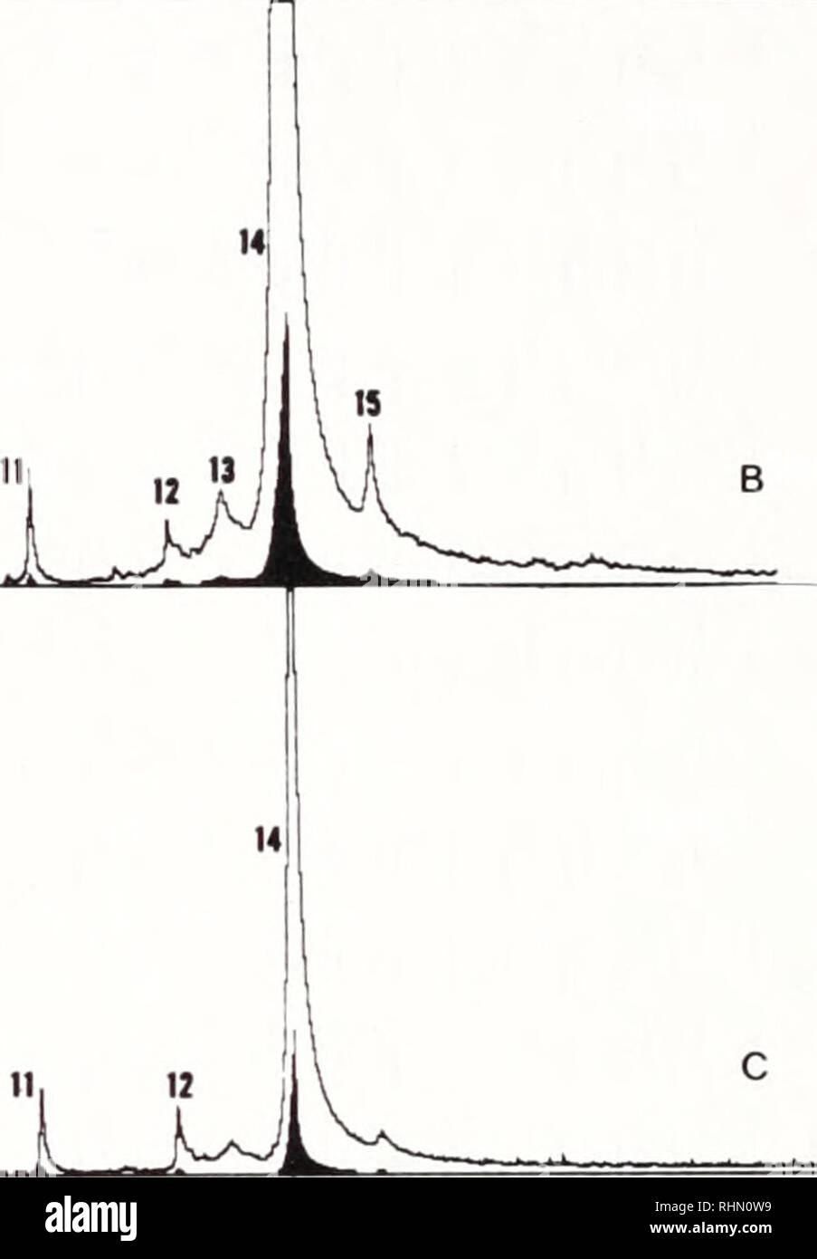 . The Biological bulletin. Biology; Zoology; Biology; Marine Biology. 390 N. H. WILLIAMS AND W. M. WHITTEN o II. Time FIGURE 3, A-C. Total ion chromatograms of the floral fragrance of an orchid and extracts of the bee that pollinates it. A. Total ion chromatogram of the fragrance of Gongora quinquenervis from El Valle de Anton, Panama. B. Total ion chromatogram of hind tibial extract of Euglossa deceptrix, the pollinator of G. quinquenervis at El Valle. C. Total ion chromatogram of the cephalic extract of the same individual bee. Note the sets of compounds shared between A and B and between B  Stock Photo
