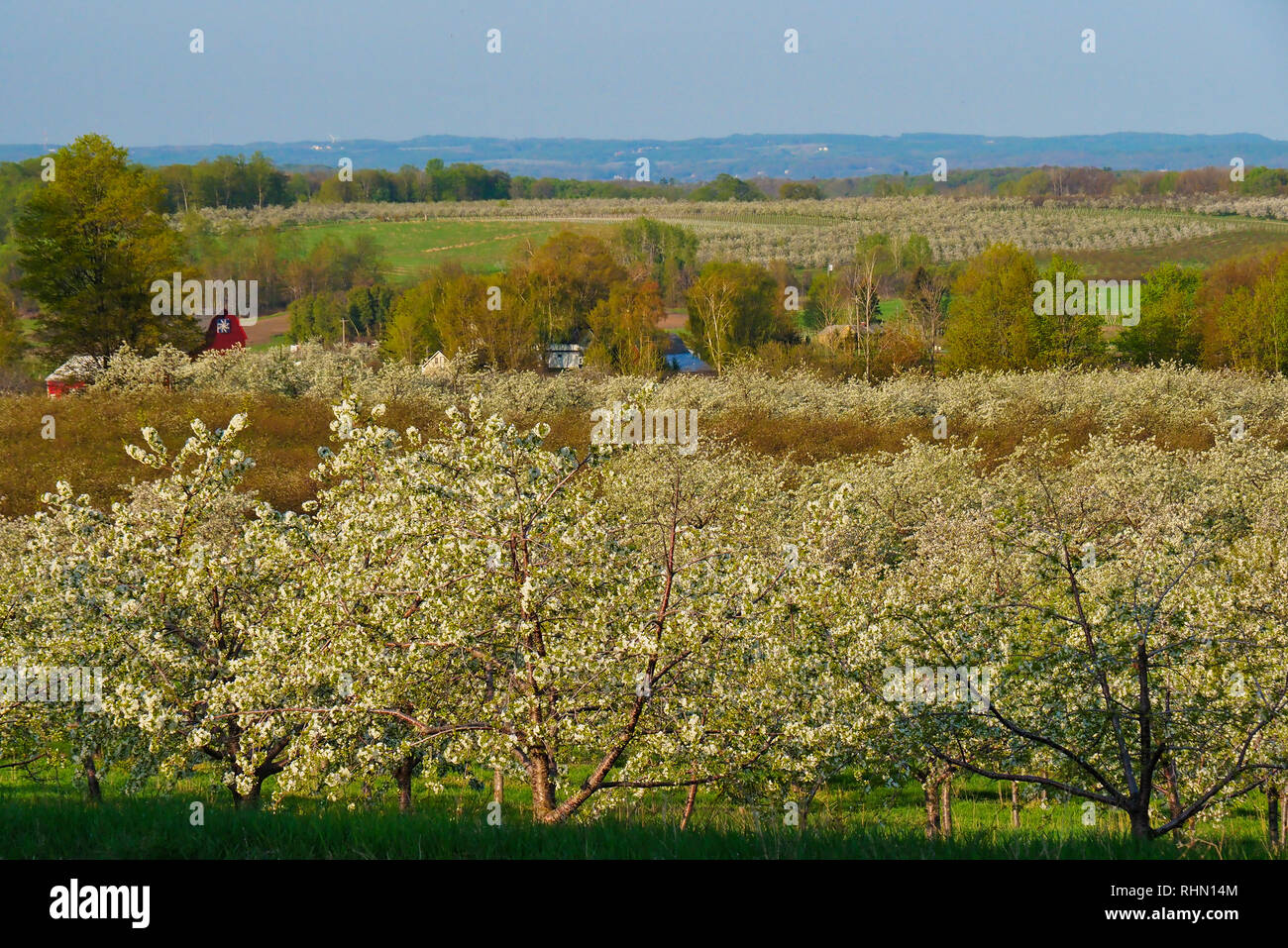 Traverse city cherry orchard hi-res stock photography and images - Alamy