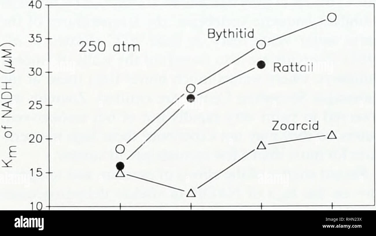 . The Biological bulletin. Biology; Zoology; Biology; Marine Biology