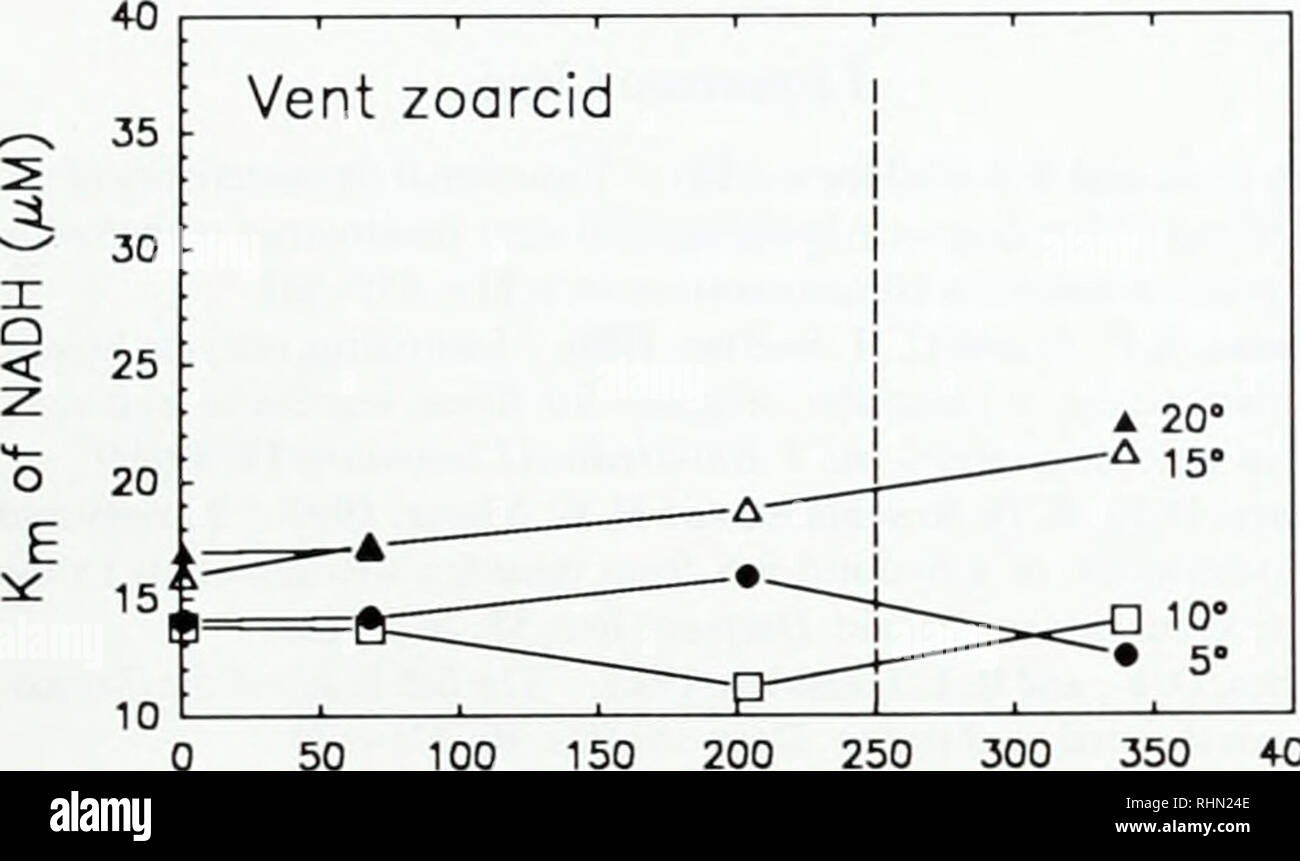 . The Biological bulletin. Biology; Zoology; Biology; Marine Biology. 0 50 100 150 200 250 300 350 400. 50 100 150 200 250 300 350 400 Pressure (atm) Figure 1. The effects of measurement temperature and pressure on the apparent Michaelis-Menten constant (Km) of NADH for M4-LDHs of the cosmopolitan deep-sea rattail fish Coryphaenoides armaim, the hydrothermal vent hythitid Bytlules hollisi. and the hydrothermal vent zoarcid Tlwrmanvs ander.wni. The dashed vertical line indicates the approximate habitat pressure at the two vent sites. nailer and Somero, 1978, with Yancey and Siebenaller, 1987).  Stock Photo