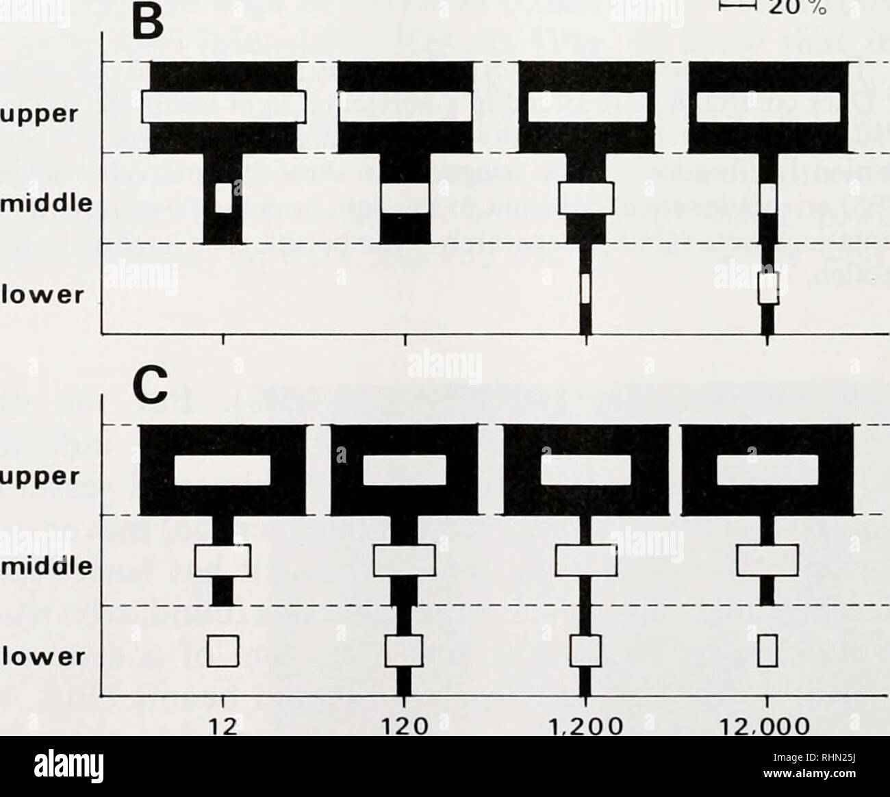 . The Biological bulletin. Biology; Zoology; Biology; Marine Biology. 12 120 1.200 12.000 Light intensity (lux). upper middle lower 120 1.200 Light intensity (lux) 12.000 FIGURE 4. Phototaxis in vertical light beams. A: Percentages of worms (n = 20) which reached the water surface at least once with a downward directed beam, curve a, or the bottom of the tank with an upward directed beam, curve b. B and C: Vertical distribution patterns at the beginning (initial, black bars) and end (final, white bars) of a 10 min illumination period with either downward (B) or upward (C) directed beams after  Stock Photo