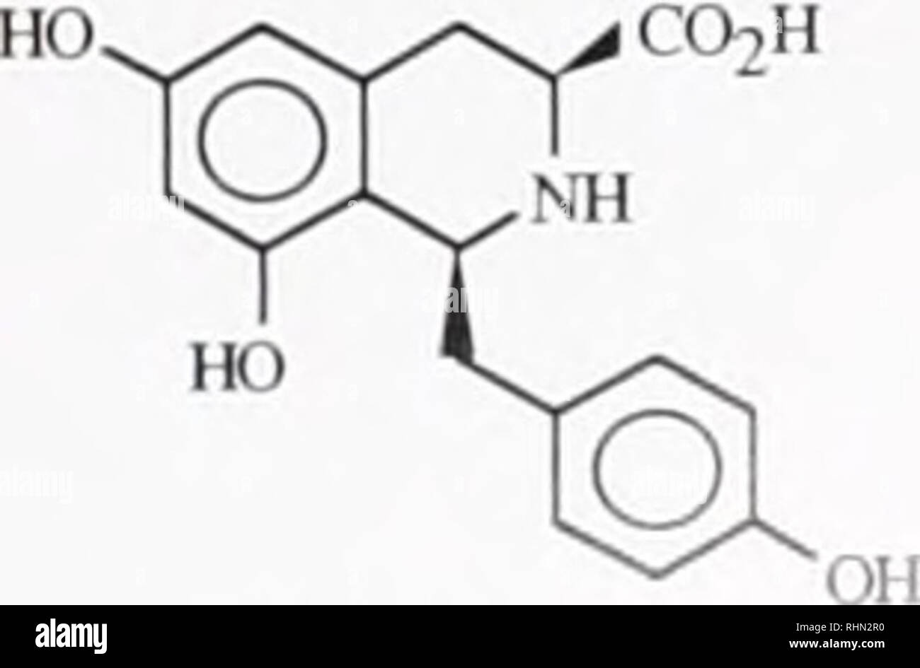 . The Biological bulletin. Biology; Zoology; Biology; Marine Biology