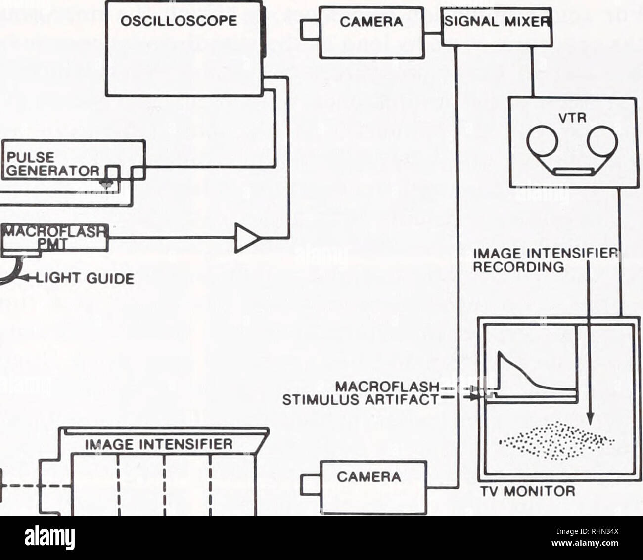 [View 31+] Image Intensifier Tube Labeled