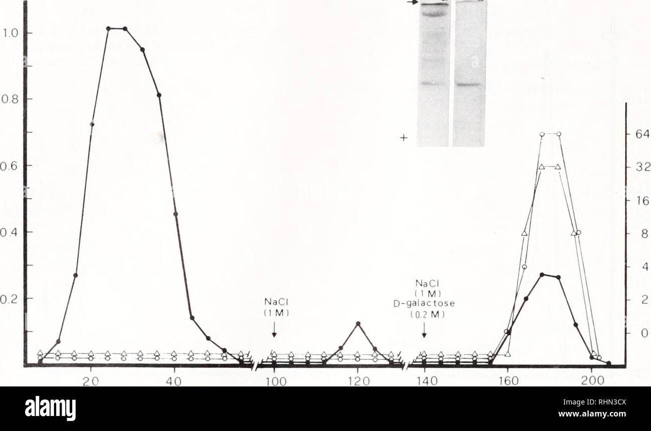160 Ml High Resolution Stock Photography And Images Alamy