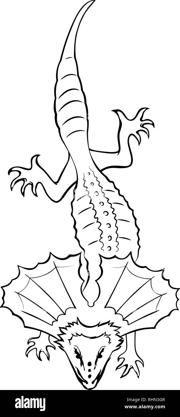 Frilled-necked lizard. Outline vector illustration Stock Vector