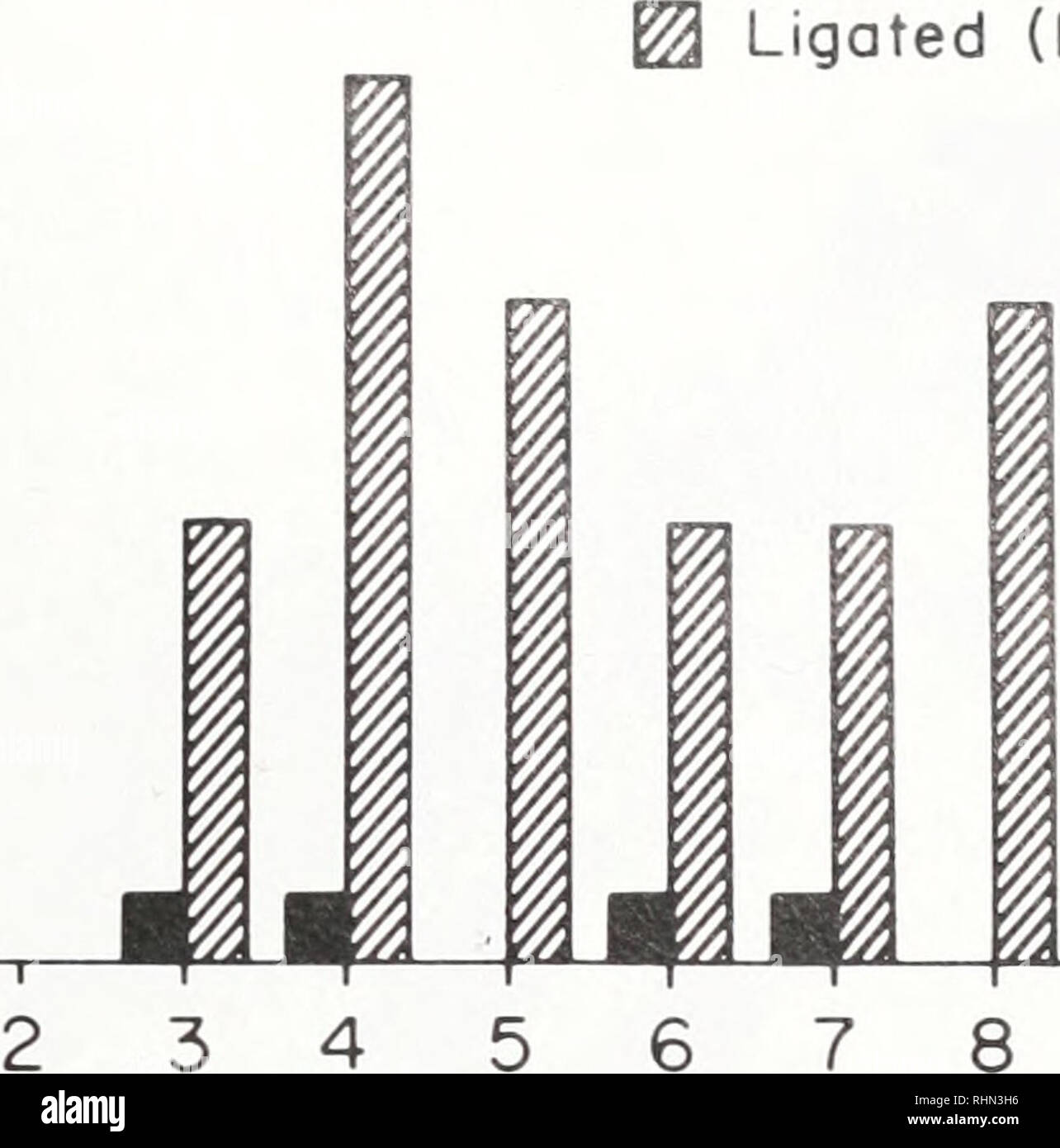 . The Biological bulletin. Biology; Zoology; Biology; Marine Biology. HORMONAL MODULATION OF BEHAVIOR GO 100- 0 C/) 0&gt; 80- C !5 lc 60- X Ld - o 40- E &quot;c &lt; 20- &quot;o - o^ n -. Transected (N = I7) Ligated (N = 5) 8 Days Post-treatment I 10 FIGURE 3. Occurrence of &quot;spontaneous display behavior&quot; (SDB) in adult Callinectes sapidus males following either bilateral eyestalk ligation (ligated) or optic tract transection (transected). were induced to display (Fig. 3). The difference in the frequency of occurrence of SDB between experimental groups is significant (P = 0.003, Fish Stock Photo