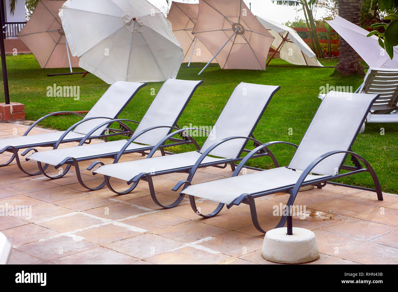 White sunbeds in a row near the pool with umbrella on the lawn Stock