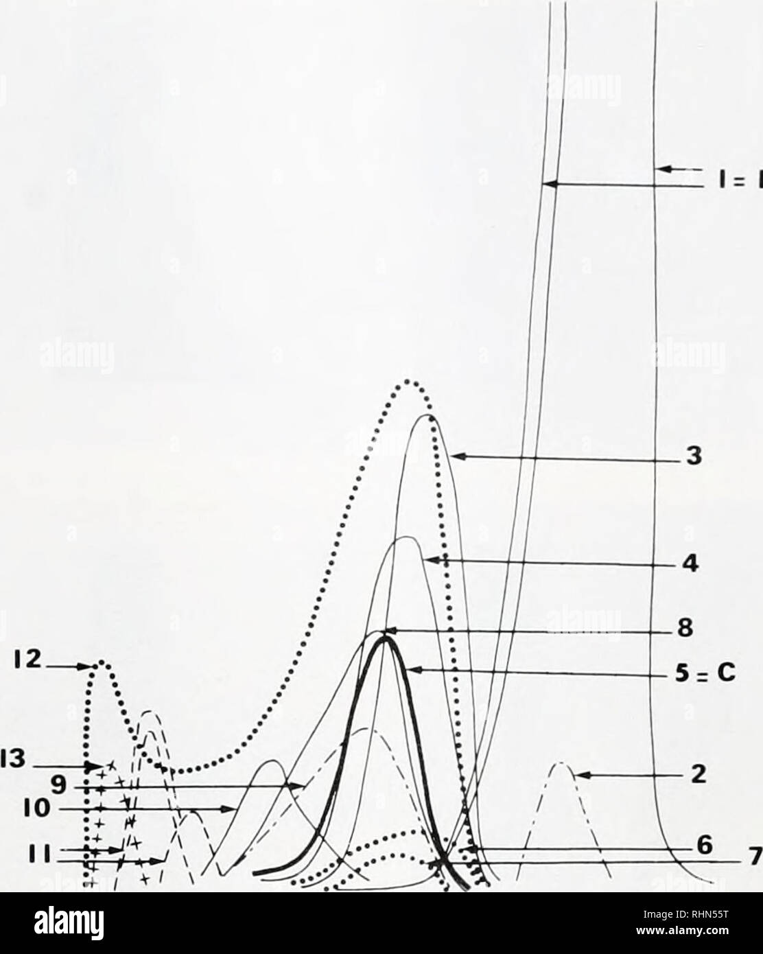 . The Biological bulletin. Biology; Zoology; Biology; Marine Biology