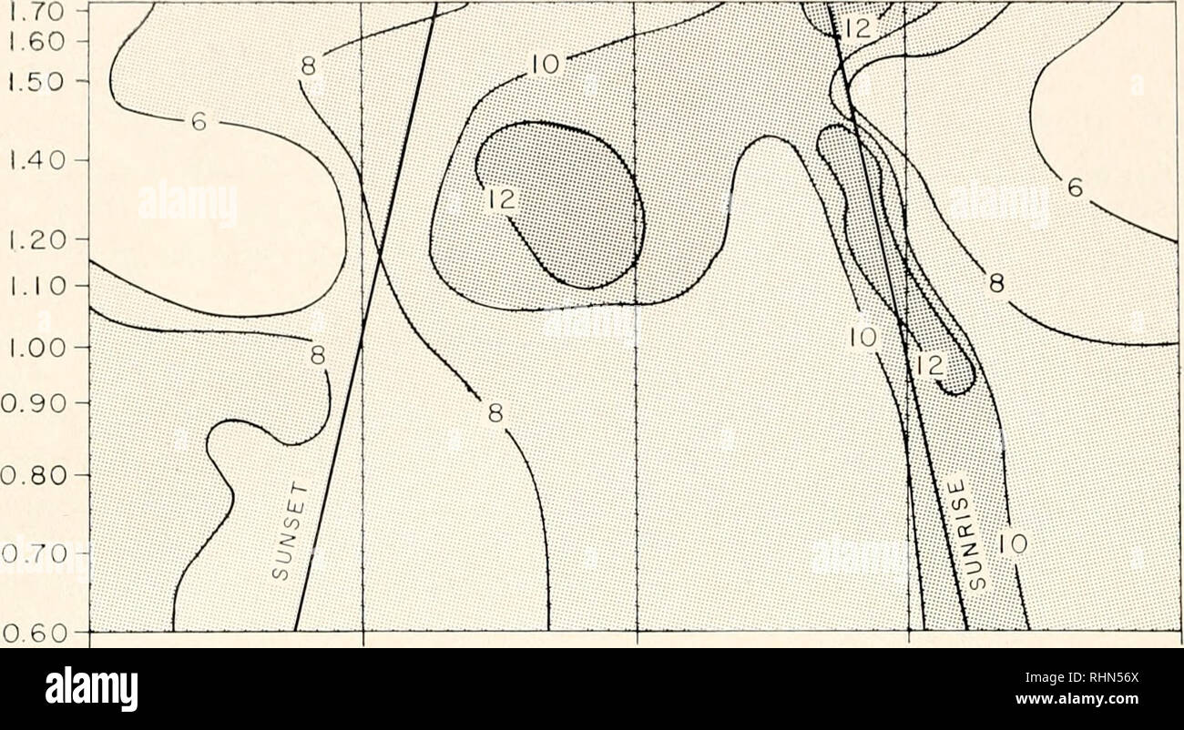 1200 Cc High Resolution Stock Photography And Images Alamy