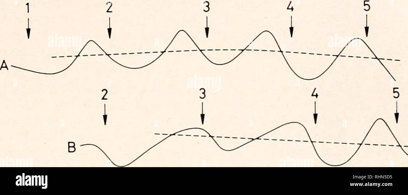 The Biological Bulletin Biology Zoology Biology Marine Biology Cyclic Respiration In Cleaving Eggs 703 Figure 3 The Biological Bulletin Biology Zoology Biology Marine Biology Cyclic Respiration In Cleaving Eggs 703 Figure 3