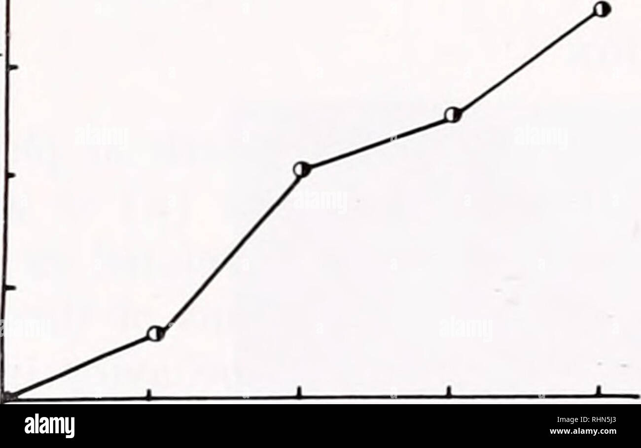 . The Biological bulletin. Biology; Zoology; Biology; Marine Biology. c