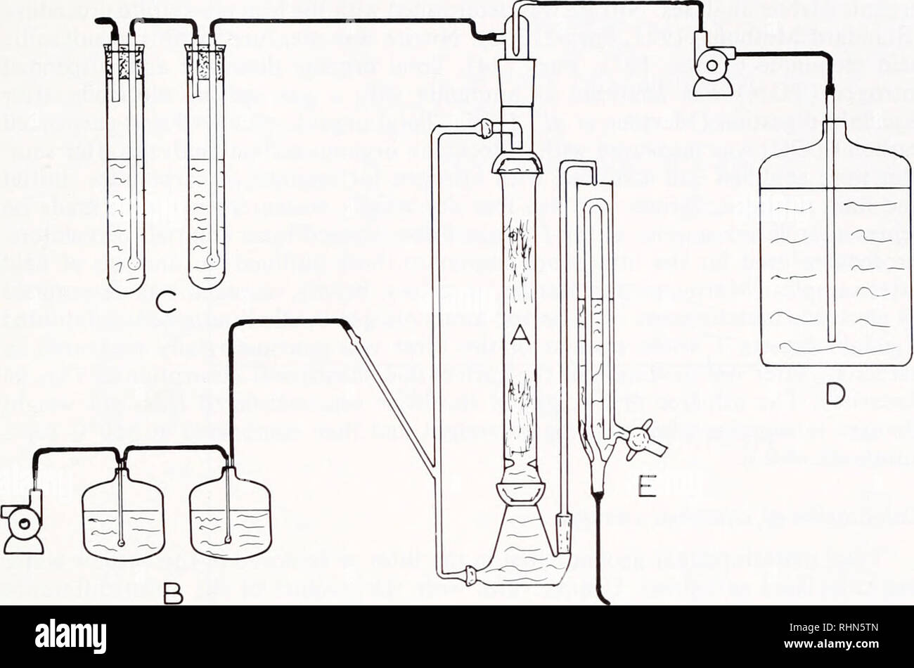 . The Biological bulletin. Biology; Zoology; Biology; Marine Biology