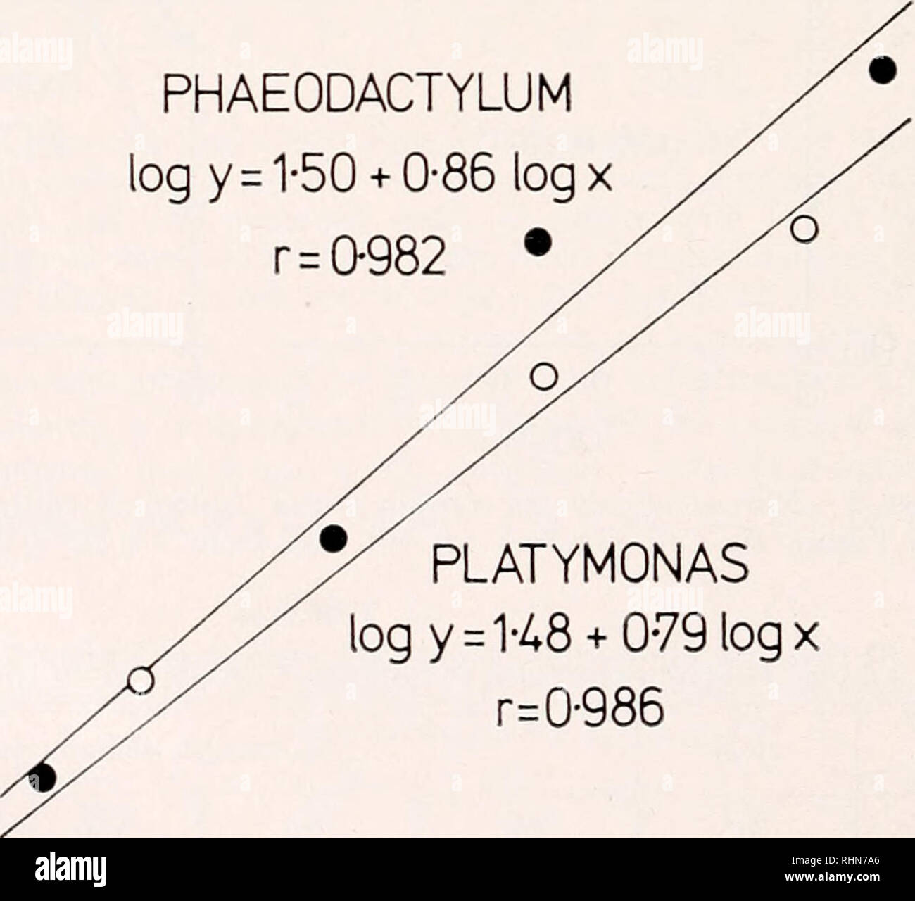. The Biological bulletin. Biology; Zoology; Biology; Marine Biology. 0 1 234 days FIGURE 3. Platyinoiuis siihconlifonnis and Phaeodactylum triconnituni : lead budget in percent of initial addition (0.3 mg Pb/1) as a function of time. S indicates soluble lead; P, &quot;particulate&quot; lead, I'.r. lead associated with the algae; and P + S, sum of soluble and &quot;particu- late&quot; lead. 2000- 1000- (D S&gt; 500 o ^ 200 100 PHAEODACTYLUM log y = 1-50+ 0-86 log x. PLATYMONAS log y = H8+ 0-79 log x r^ 0-986 -r-O 0-005 0-01 0-02 0-05 0-1 soluble lead in medium (mg/l) 0-2 4. PIiitynwiHis siit'C Stock Photo