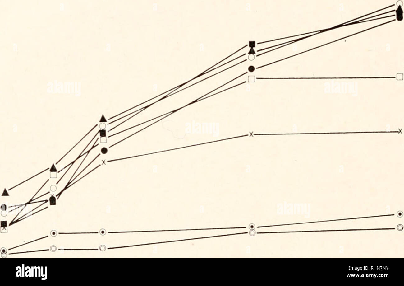 . The Biological bulletin. Biology; Zoology; Biology; Marine Biology. 10 20 30 60 90 TIME (minutes) FIGURE 4. Ethanol soluble radioactivity of gill tissue as a function of salinity and time. SD values were approximately 1% of the plotted points, where n = 4. 3 to 16 hours, while D.O. was decreasing, indicates that uptake was independent of D.O. concentration. The uptake by Rangia gills at various salinities from a 3.8 X 106 molar solution of C14 plus Cr2-glycine is shown in Figure 4. These gills were removed immediately before exposure from clams that had been acclimated to each of the test s Stock Photo