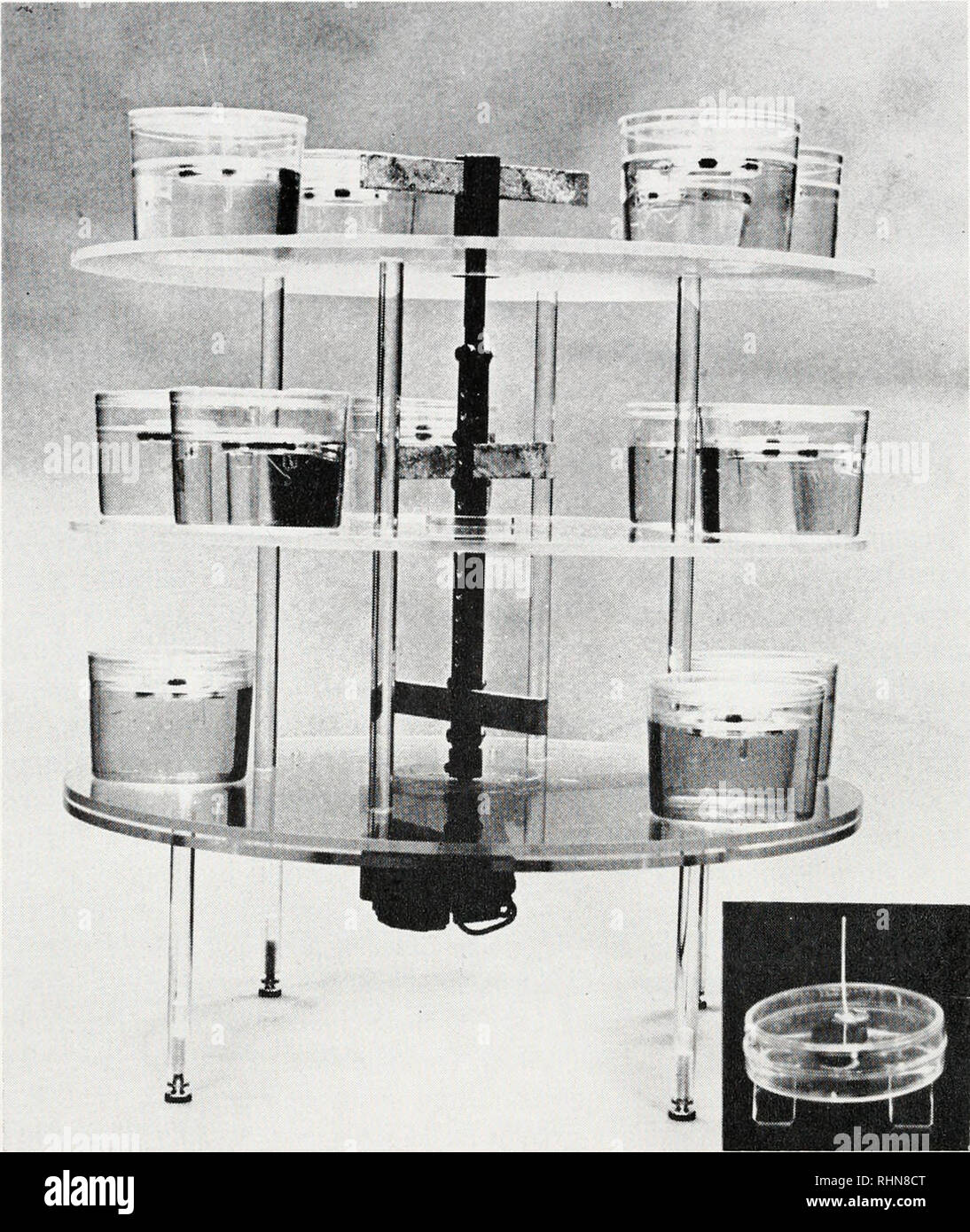 The Biological bulletin. Biology; Zoology; Biology; Marine Biology. 46cS  RALPH T. HINEGARDNER. FIGURE 1. Culture apparatus, with culture dishes.  Insert shows construction of the magnetic stirrer. See text for  description. The
