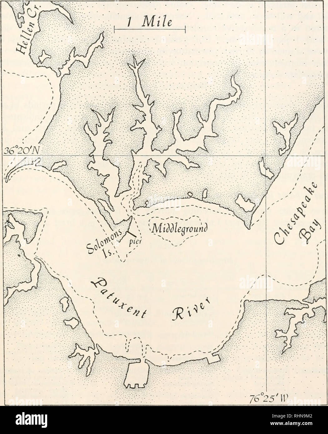 . The Biological bulletin. Biology; Zoology; Biology; Marine Biology. REPRODUCTION OF GLYCERA 397. FIGURE 1. Location of Solomons Island and other areas mentioned in the text. Broken line indicates the 12-foot bottom contour. mean tidal amplitude at Solomons is only 1.2 feet, there is practically no inter- tidal zone; all collecting, therefore, was done with a Maryland soft clam dredge (see Manning, 1959), operated in 6-10 feet of water. This method, using a wire mesh conveyor belt to bring specimens up from the bottom, proved satis- factory for obtaining 2-4 dozen uninjured worms in a relativ Stock Photo