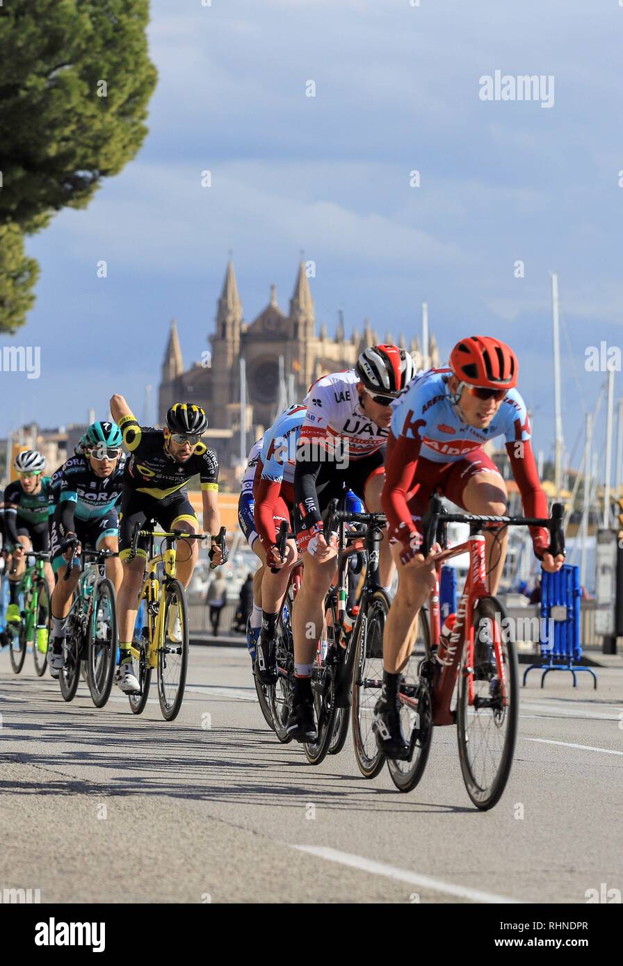 Palma Spain 03rd Feb 2019 The Pack Of Cylcists Ride During The