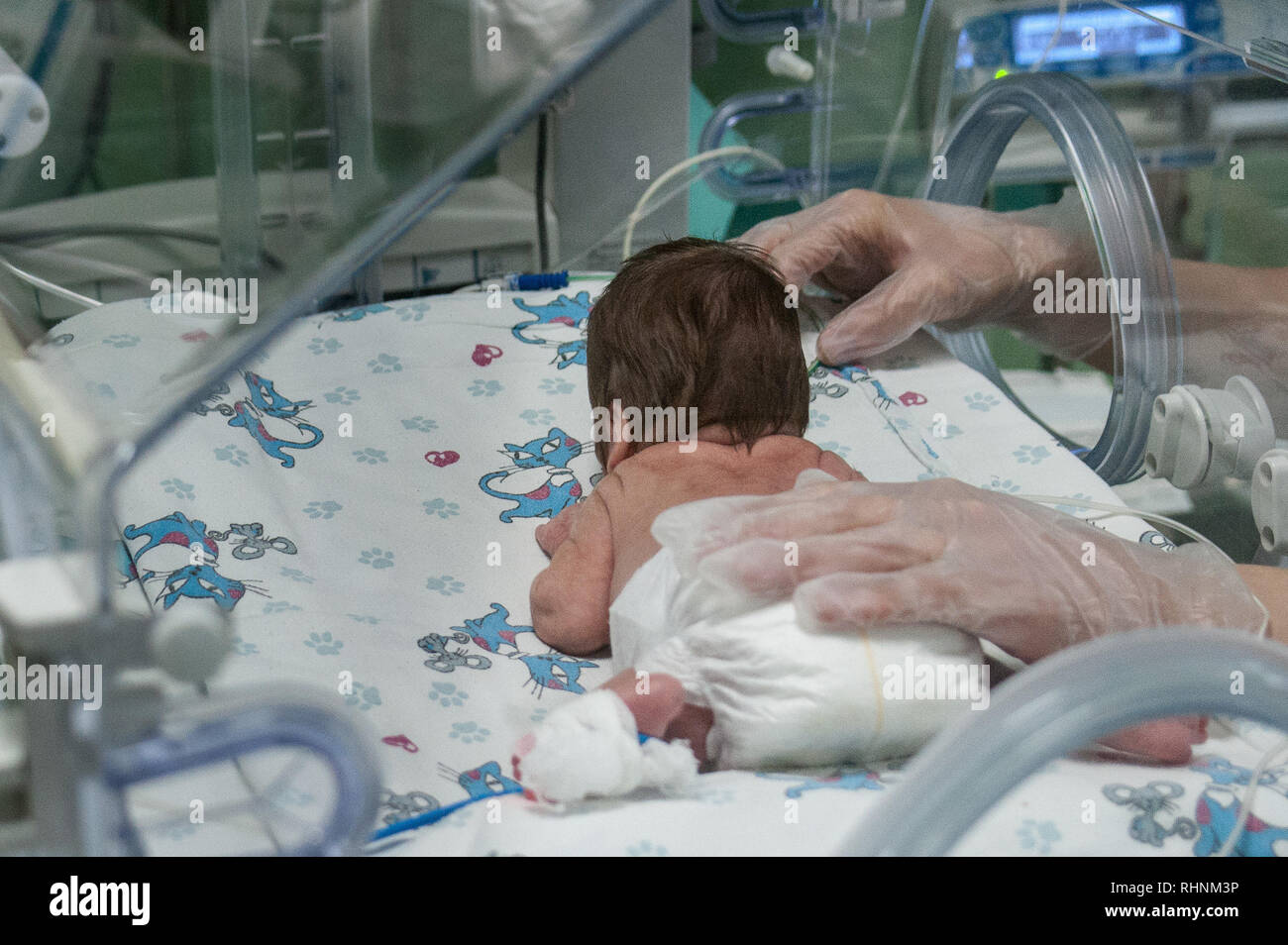 low birth weight baby care