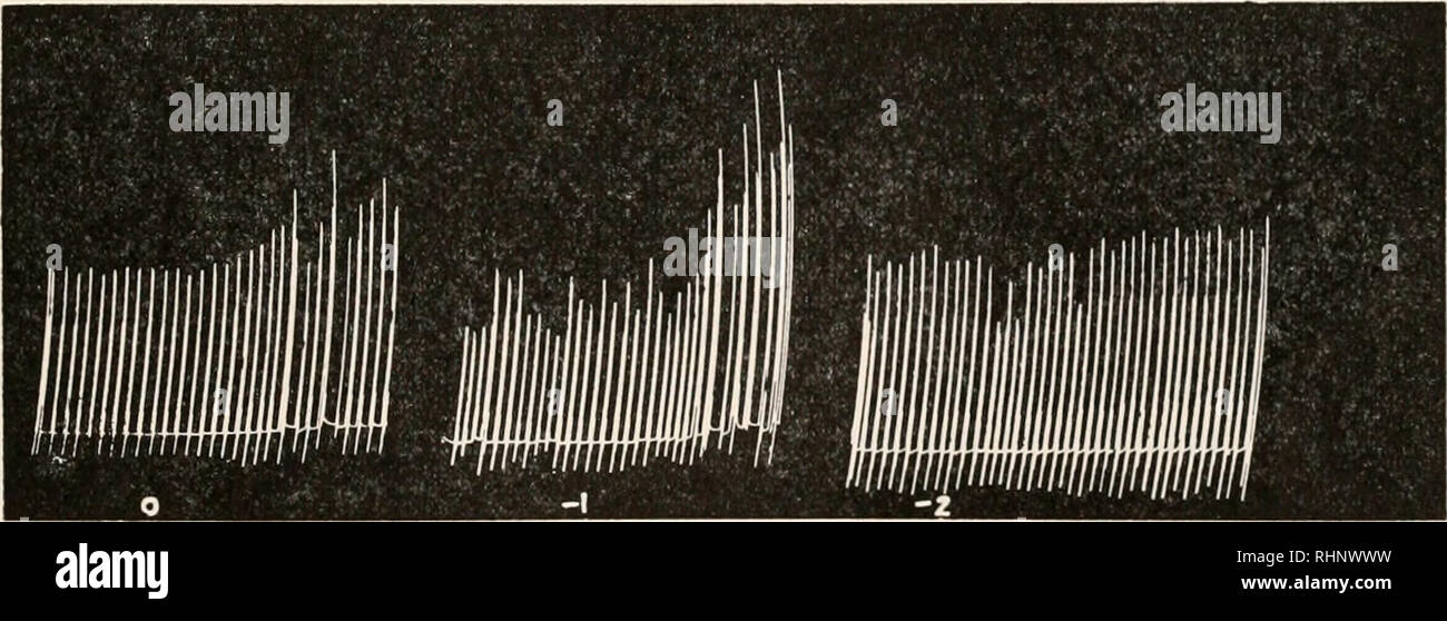The Biological Bulletin Biology Zoology Biology Marine Biology Figure 1 A Typical Assay Of Pericardial Organ Extract After Paper Electrophoresis Extract Of Four Pairs Of Cancer Borcalis Pericardial Organs Each Fraction