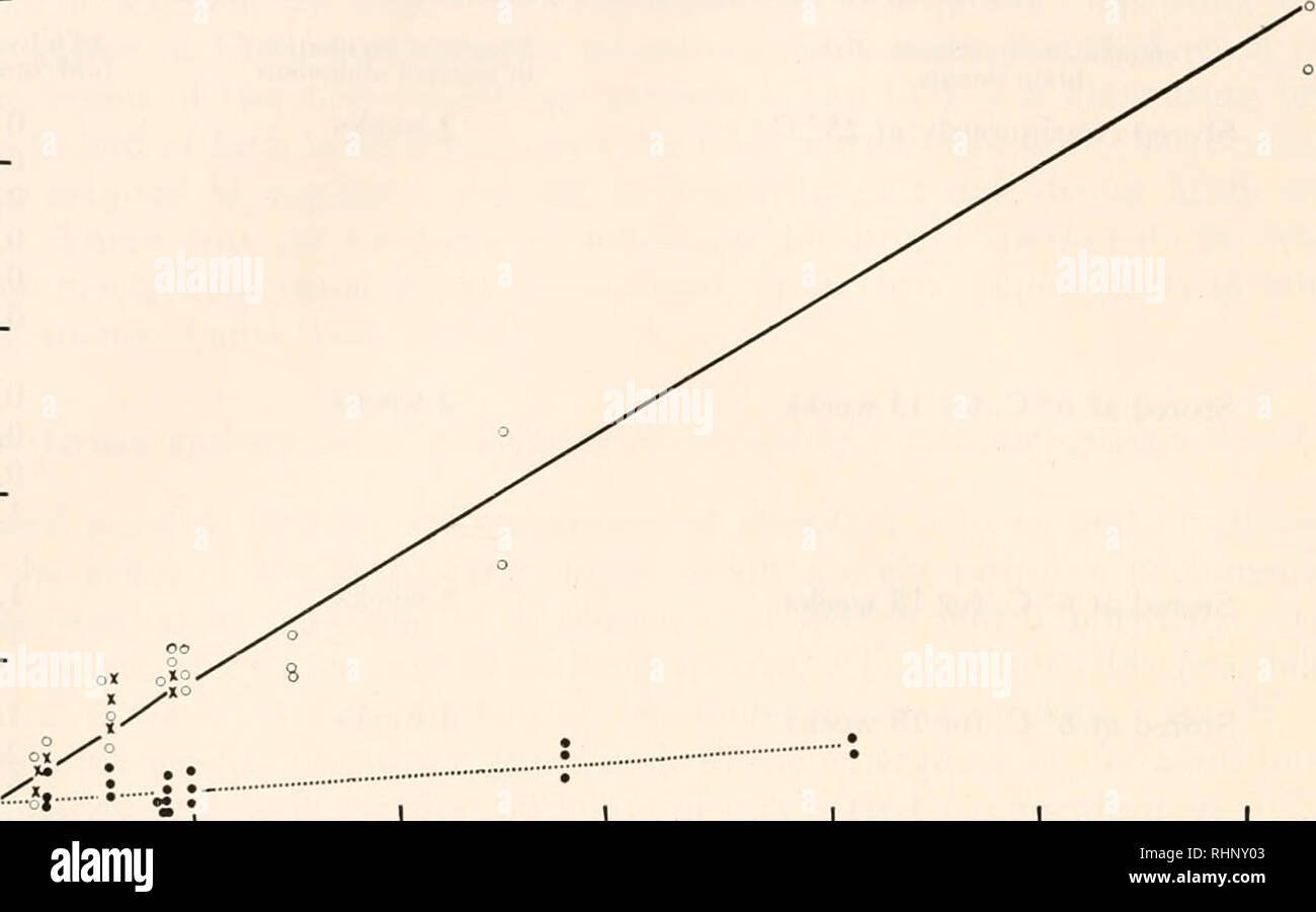 . The Biological bulletin. Biology; Zoology; Biology; Marine Biology. 286 WILLIAM G. VAN DER KLOOT ACh M do-' jm.). 20 30 WEEKS 40 EO FIGURE 4. The titer of cholinergic substance in the brain as affected by the duration of diapause and the temperature or storage. The titer is expressed as the amount of ACh.Cl possessing identical action on the Venus ventricle. O, stored at 6° C.; X, stored at 15° C.; • stored at 25° C. 7. The cholinergic substance during the reactivation of the brain In the preceding section the diapausing brain was found to acquire a consider- able titer of the cholinergic su Stock Photo