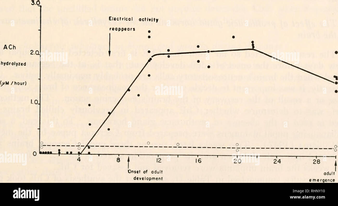 . The Biological bulletin. Biology; Zoology; Biology; Marine Biology. CONTROL OF NEUROSECRETION 283 Prolonged exposure of diapausing Cecropia to low temperature is without detectable effects in restoring the brain's ChE. Fourteen determinations on a total of 44 brains from pupae chilled at 6° C. showed that cholinesterase remained un- detectable, even though two of the determinations were on the brains of pupae chilled for as long as 30 weeks. Consequently, it is clear that the diapausing brain, even after prolonged chilling, is characterized by a ChE titer undetectable by the present methods. Stock Photo