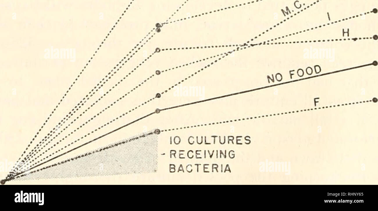 Sadwig Rafter . The Biological bulletin. Biology; Zoology; Biology; Marine Biology ...