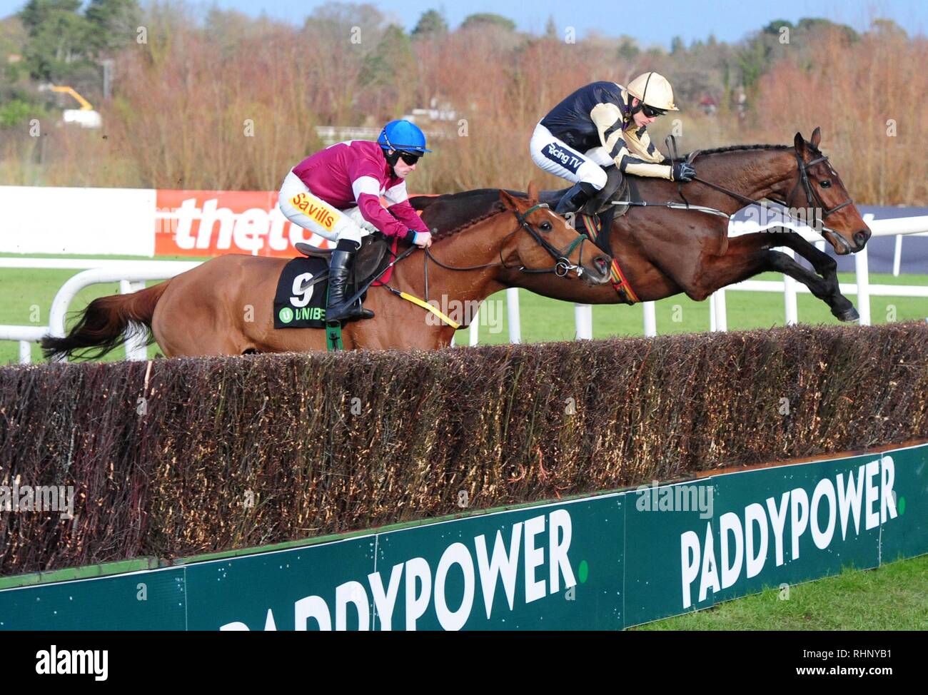 Bellshill ridden by Ruby Walsh (right) goes on to win the Unibet Irish Gold Cup during day two of the Dublin Racing Festival at Leopardstown Racecourse. Stock Photo