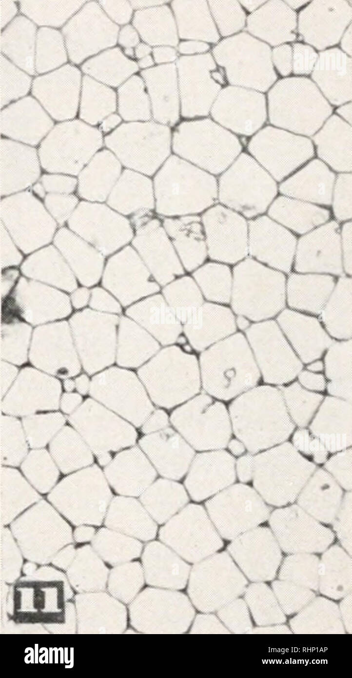 Oblique slip hires stock photography and images Alamy