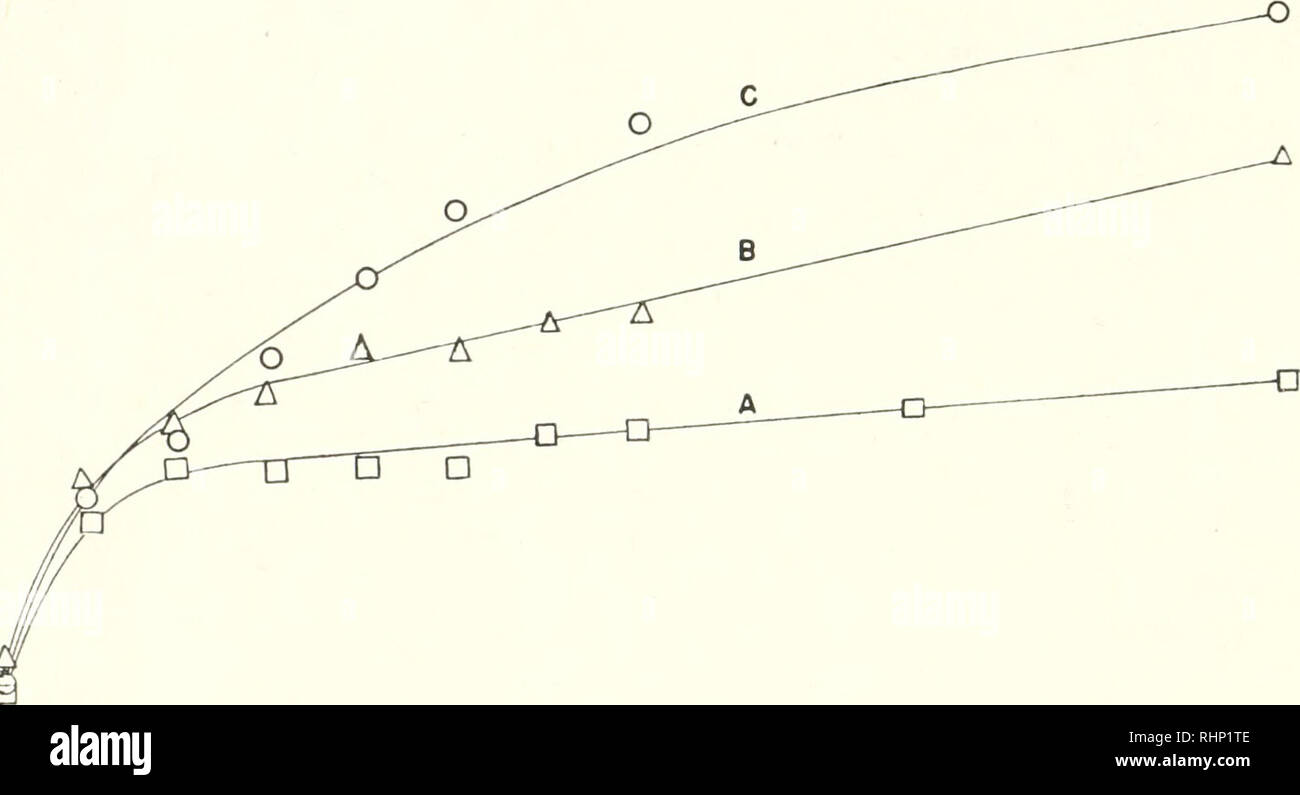 . The Biological bulletin. Biology; Zoology; Biology; Marine Biology. 128 MILTON A. MILLER Dates of attachment in their tests are not known, and hence rates of growth on treated and untreated surfaces cannot be calculated and compared from their data. In view of the present studies, it would seem that the alternate interpretation of a growth retarding effect is equally plausible, if not more probable. To illustrate further the growth retarding effect of toxic surfaces, another experi- ment involving growth of Bugula on unseasoned copper paint surfaces may be cited. In this experiment, the firs Stock Photo