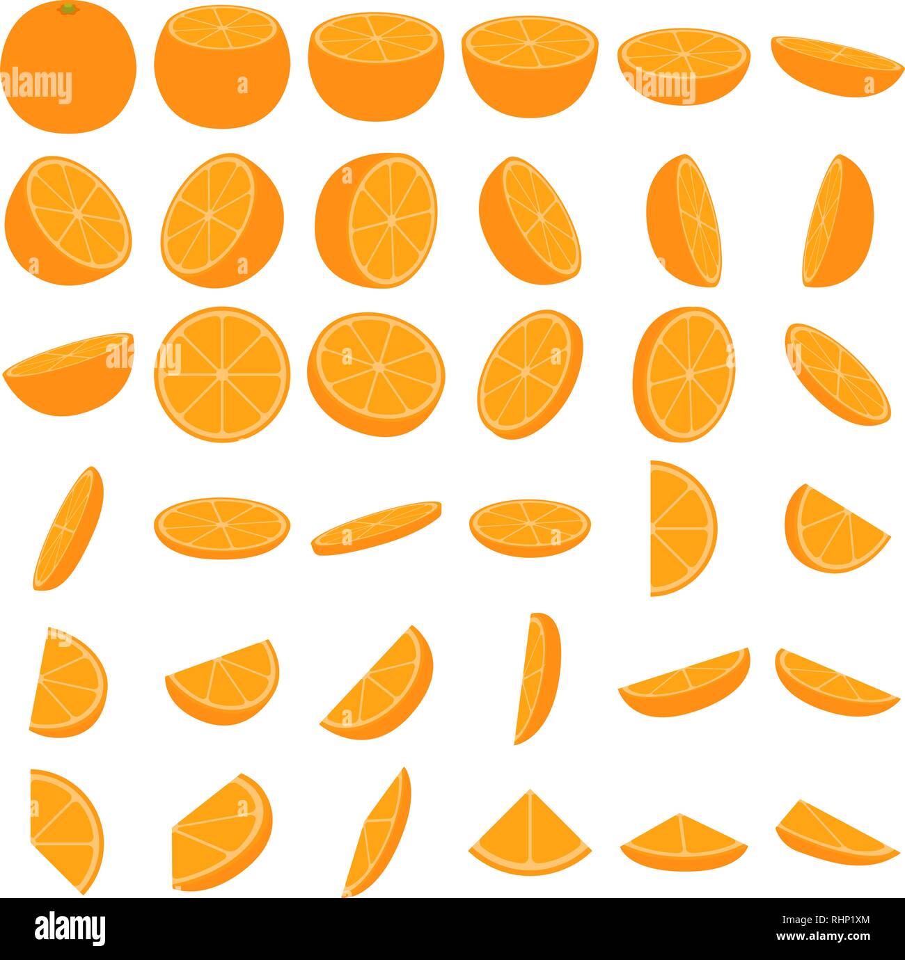Citrus cross section Stock Vector Images Alamy