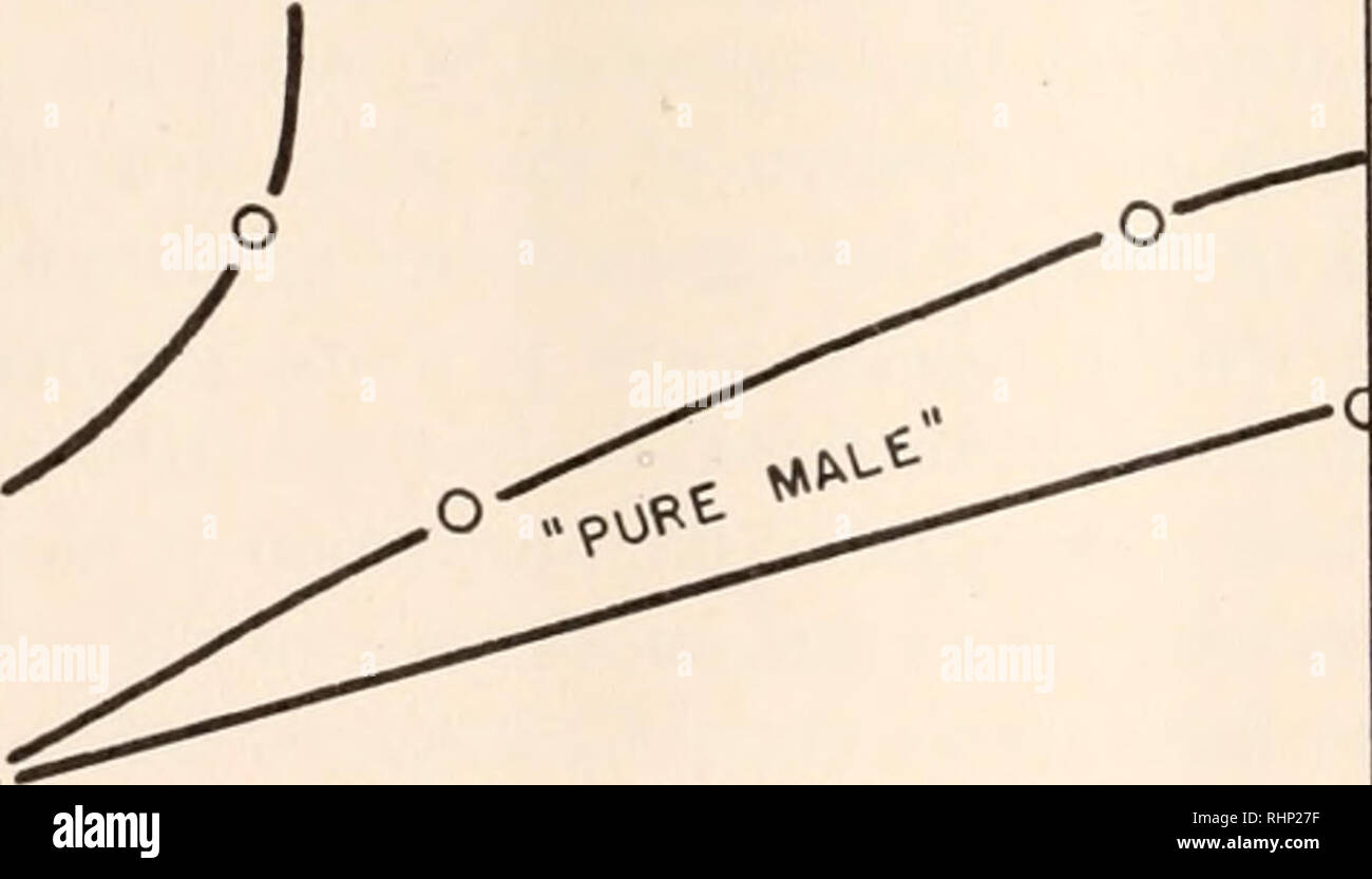 Simultaneous hermaphrodite hires stock photography and images Alamy