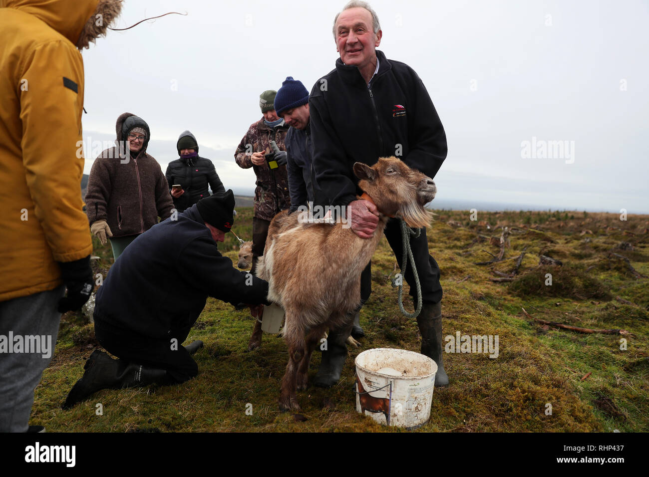 coppice association of ireland coppice association of ireland